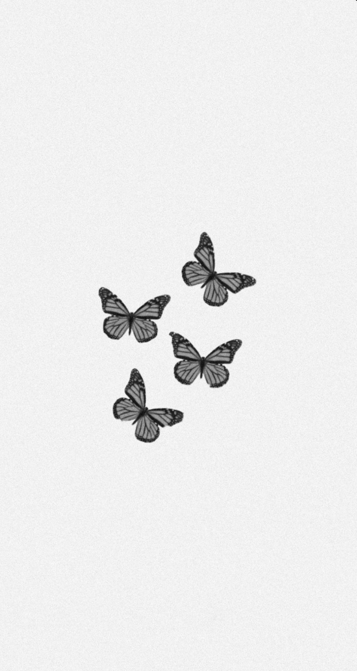 Butterfly Black And White Wallpapers