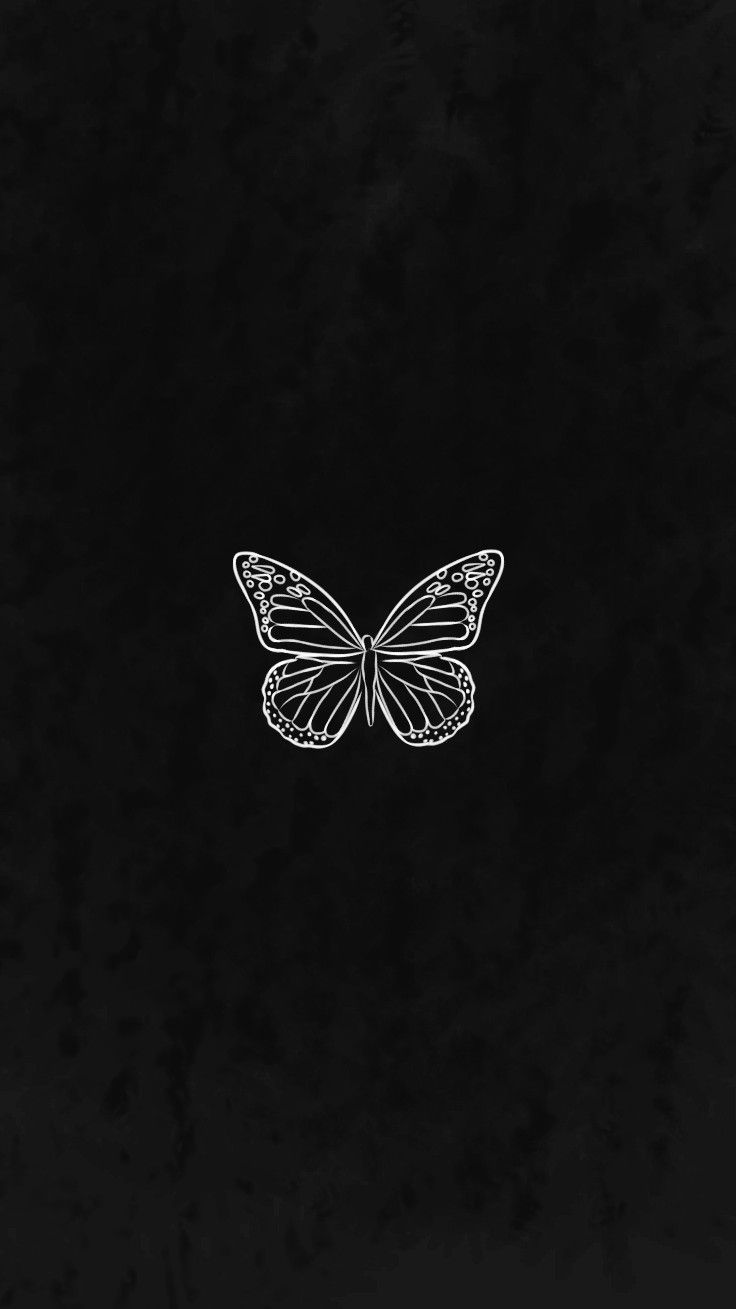 Butterfly Black And White Wallpapers