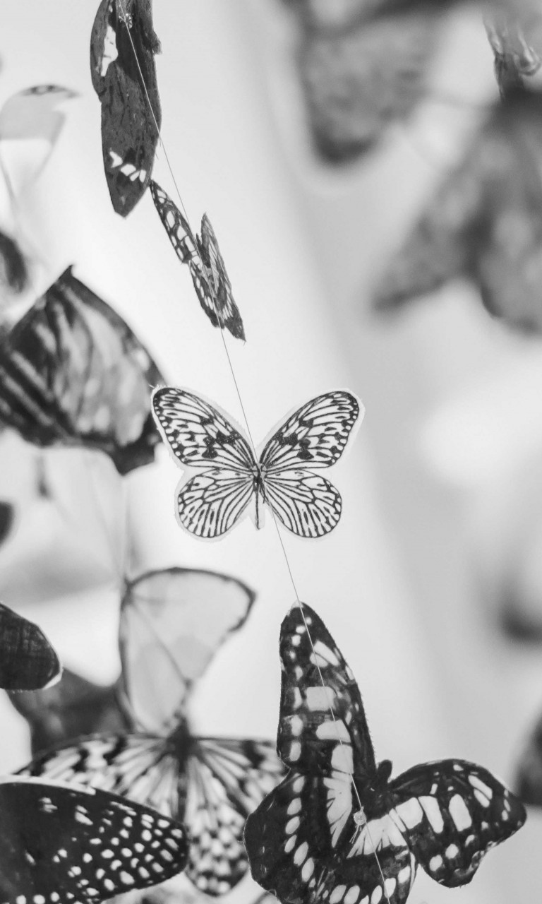 Butterfly Black And White Wallpapers