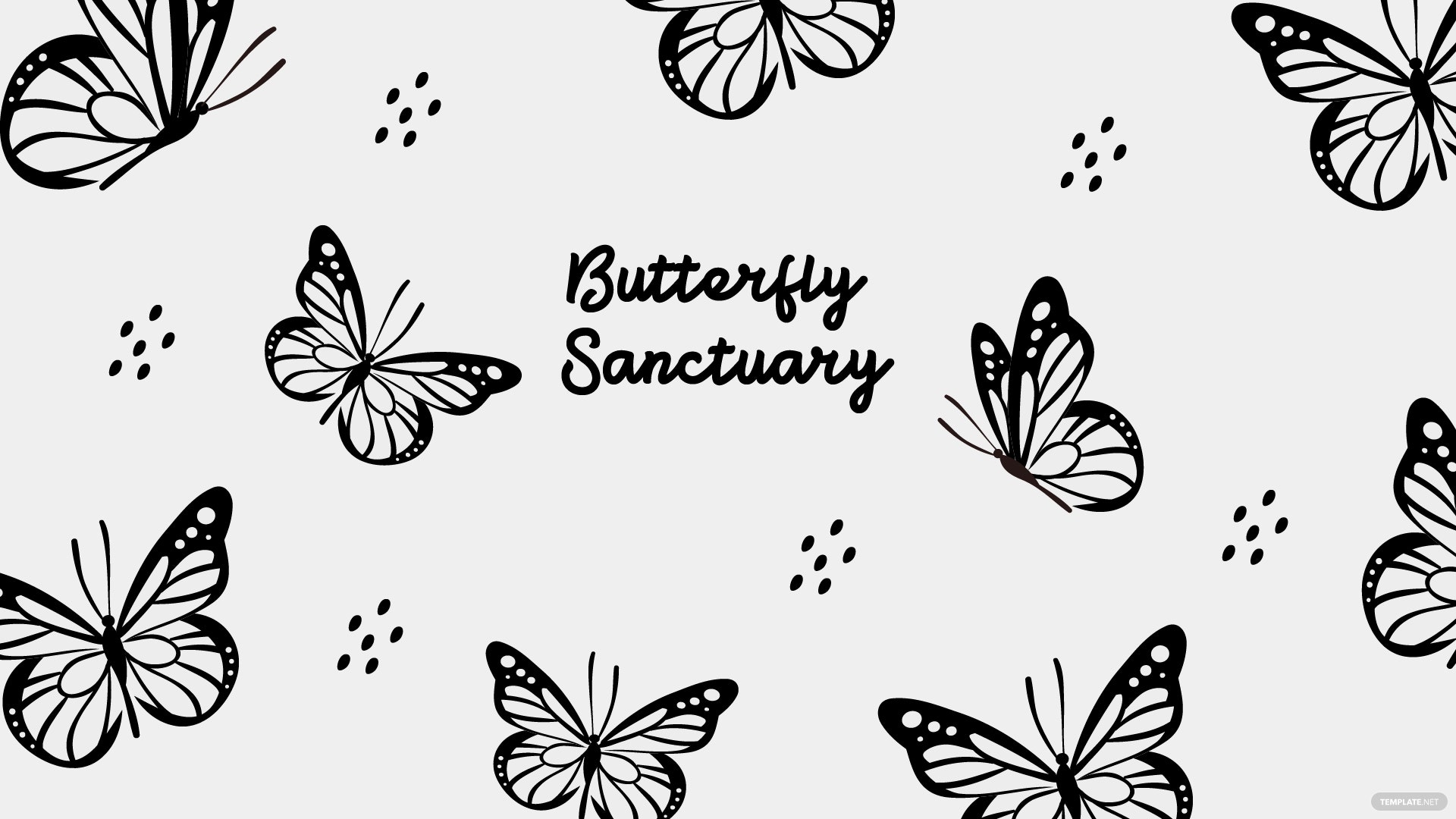 Butterfly Black And White Wallpapers