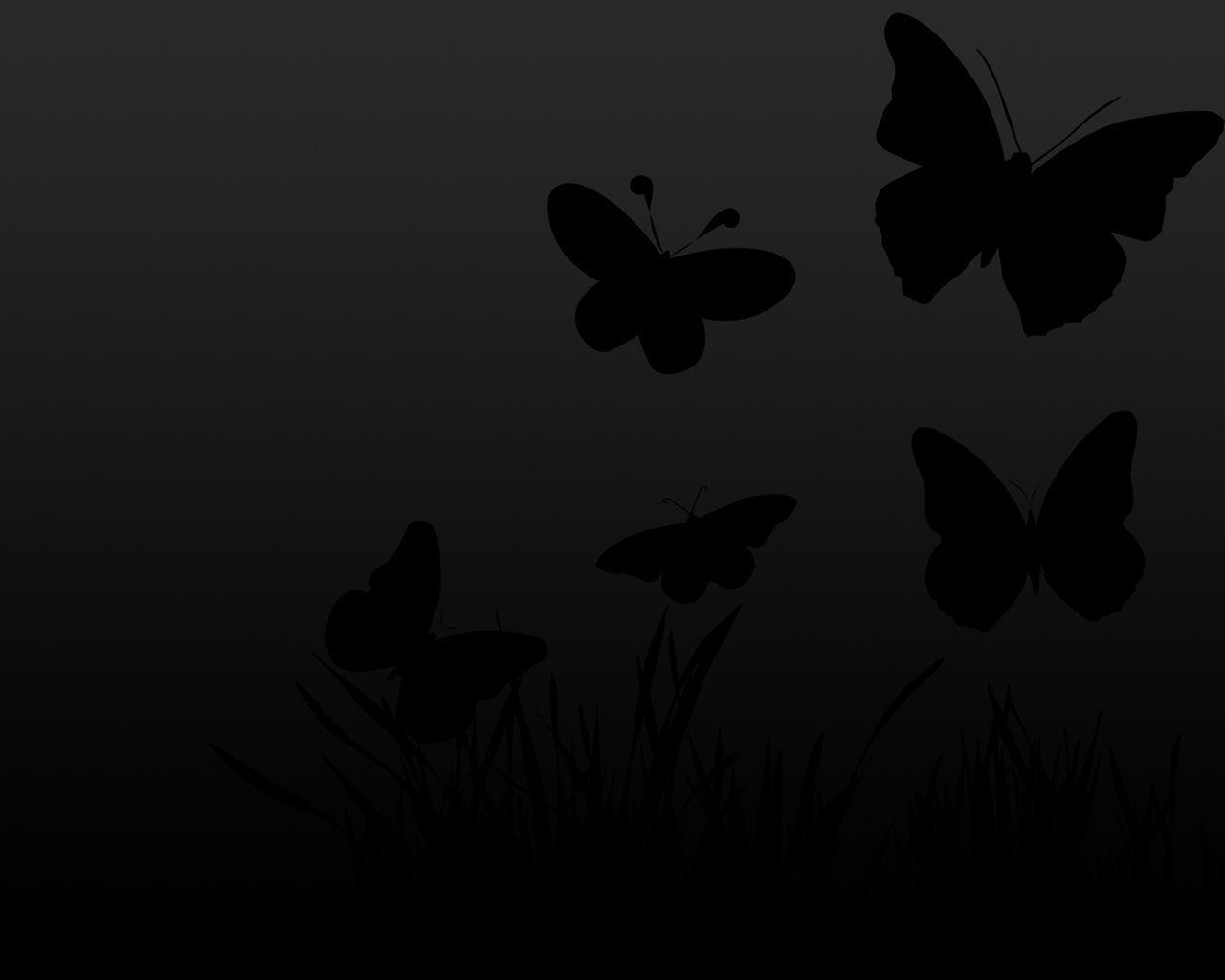 Butterfly Black And White Wallpapers