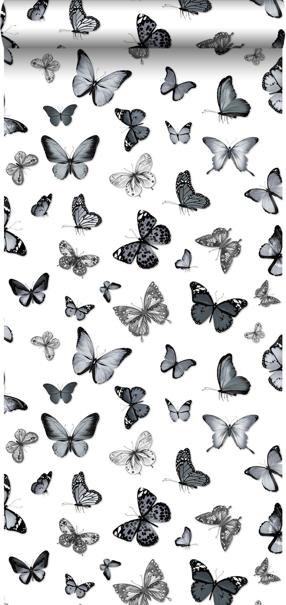 Butterfly Black And White Wallpapers