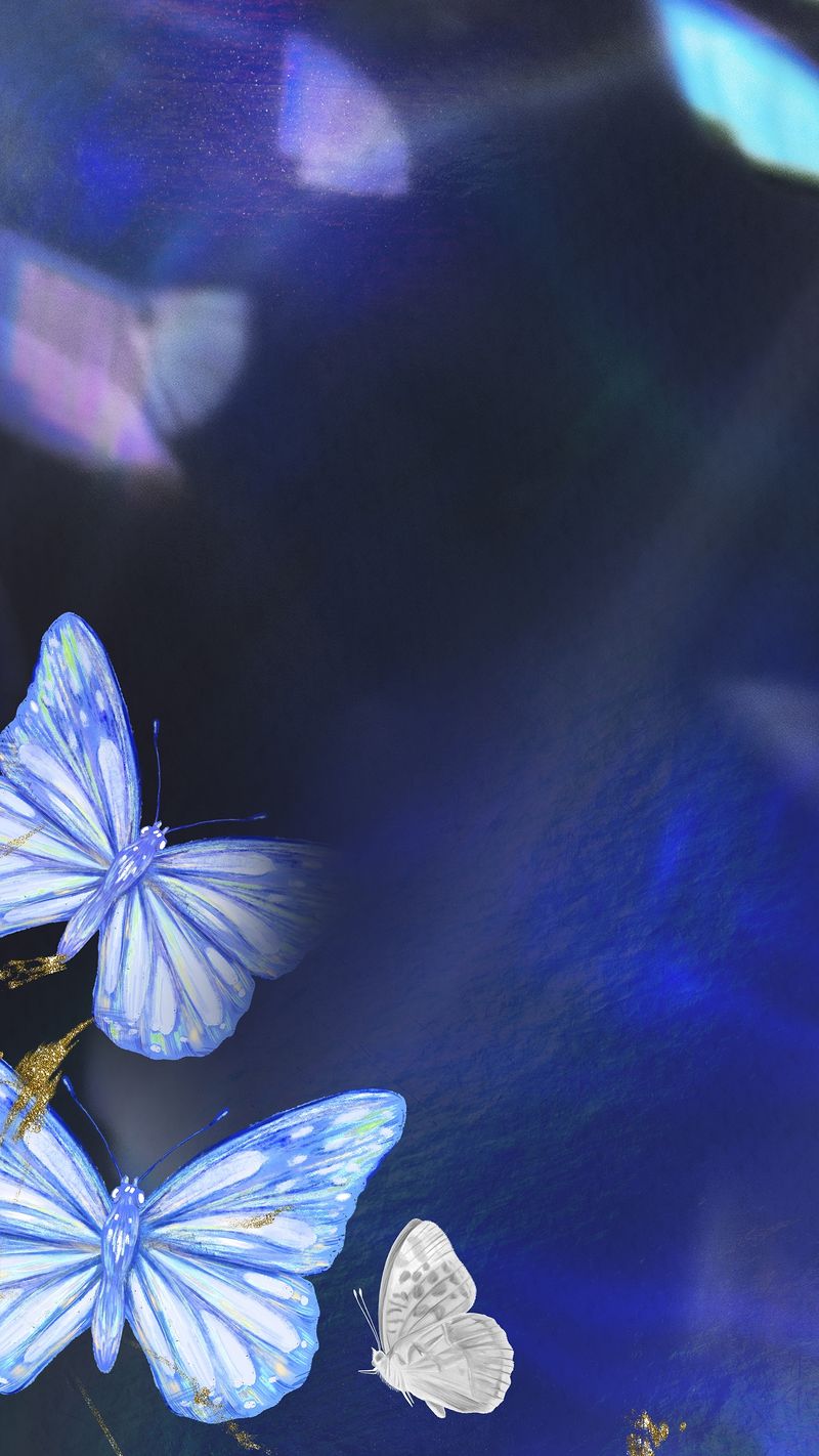 Butterfly Iphone Wallpapers