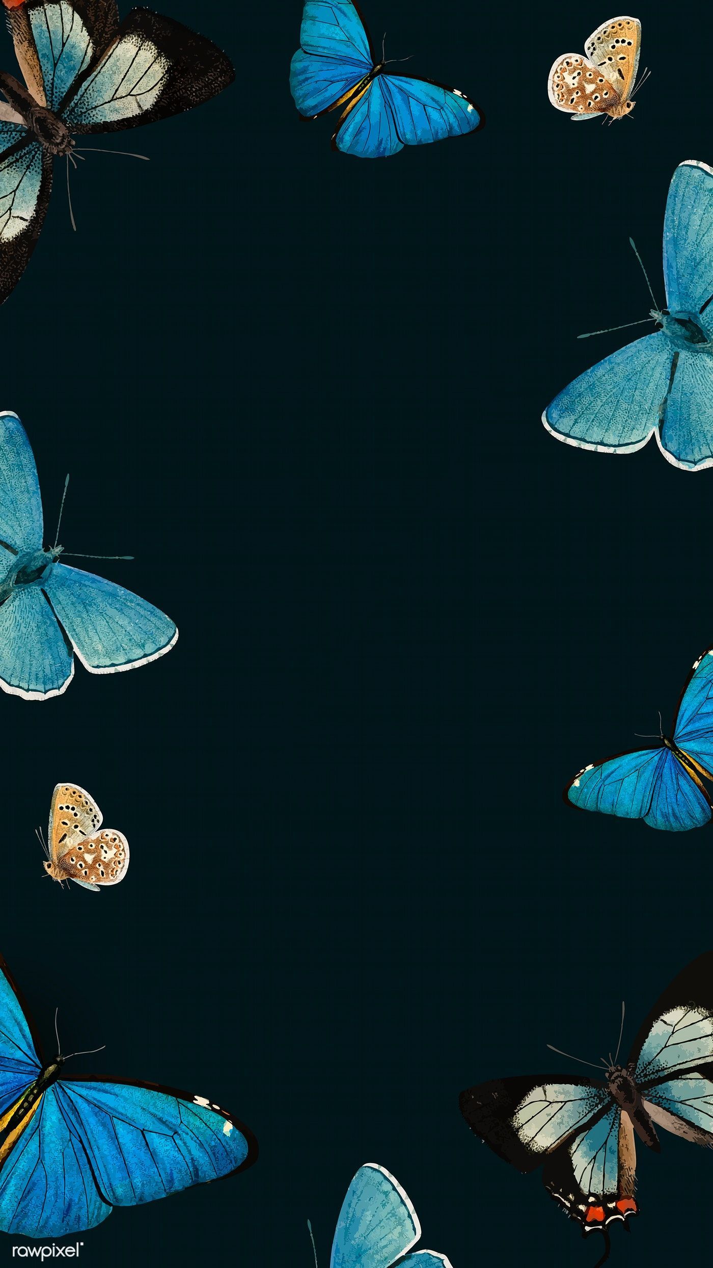 Butterfly Iphone Wallpapers