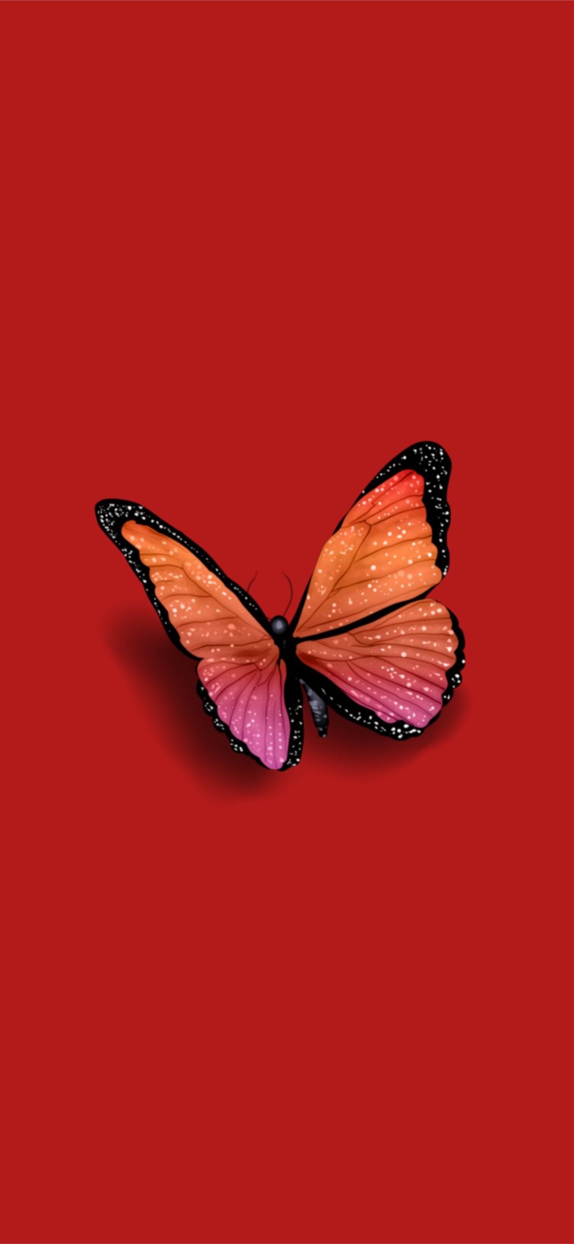 Butterfly Iphone Wallpapers