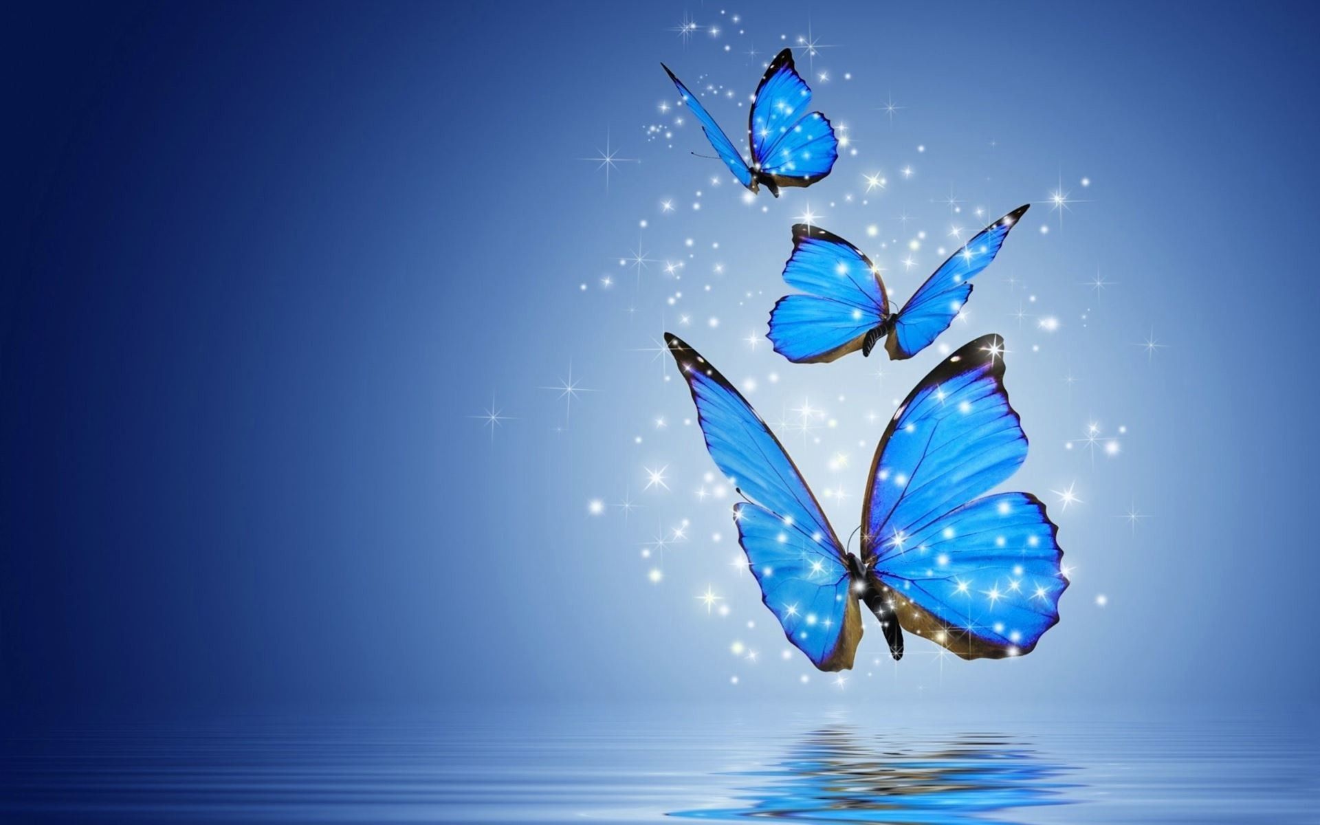 Butterfly Laptop Wallpapers