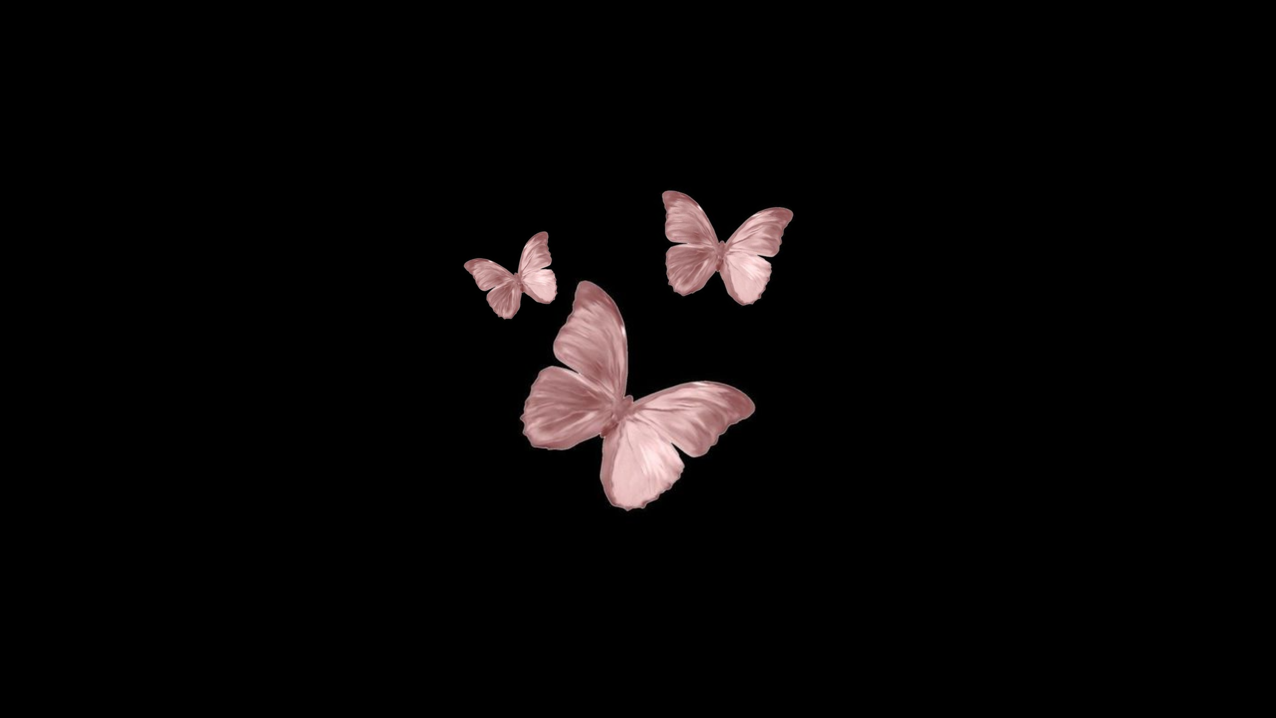 Butterfly Laptop Wallpapers