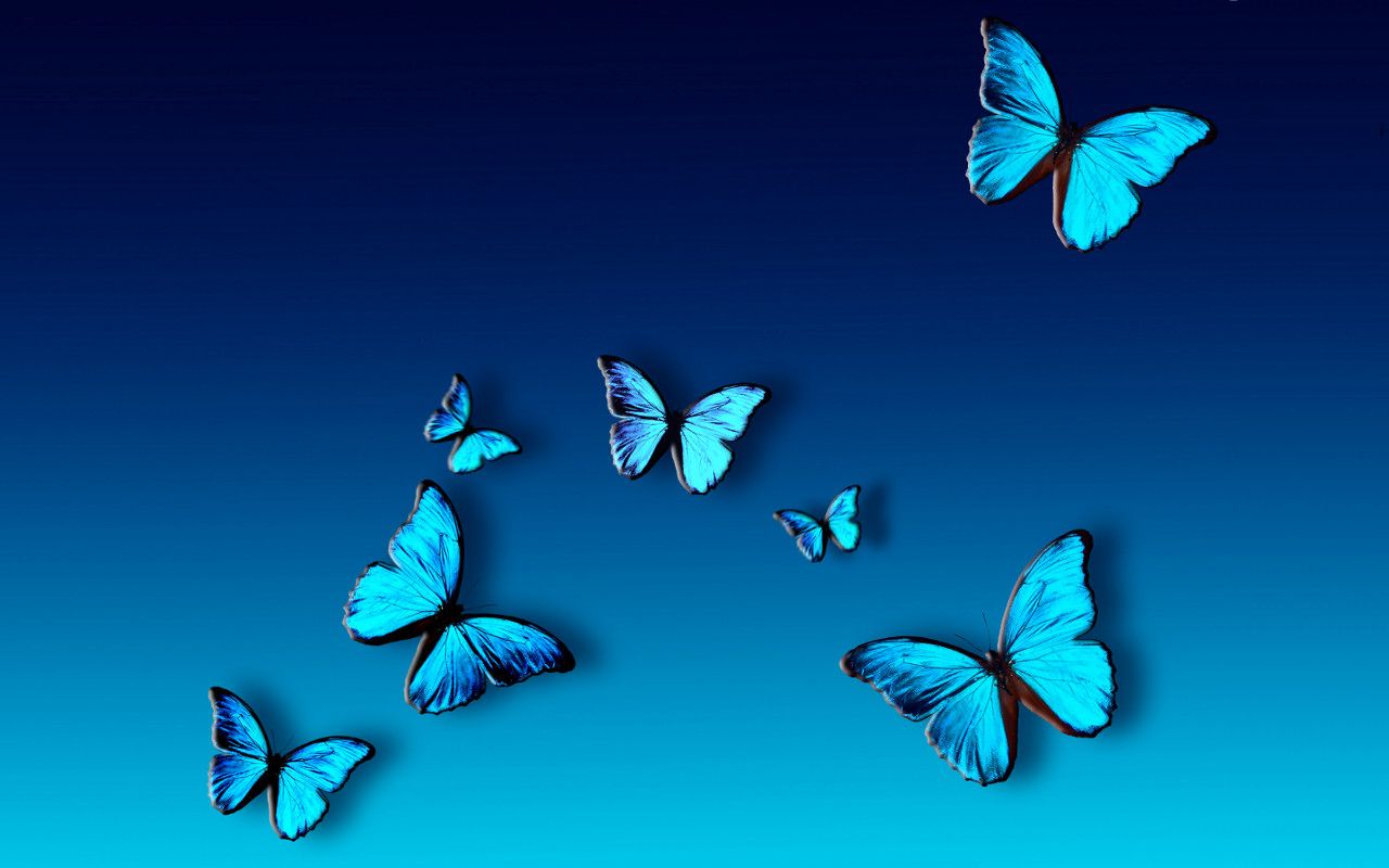 Butterfly Laptop Wallpapers