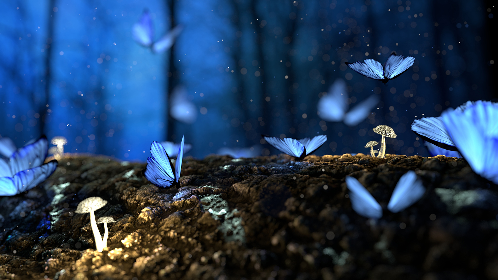 Butterfly Laptop Wallpapers