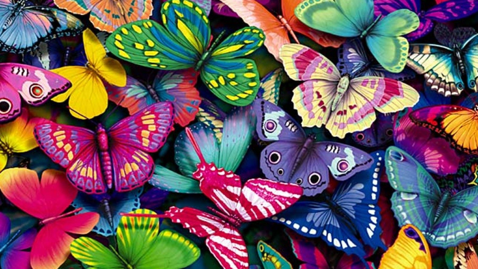 Butterfly Laptop Wallpapers