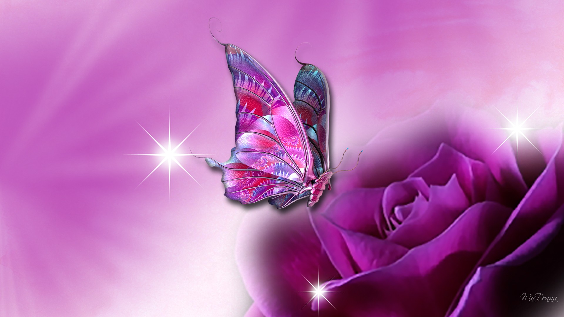 Butterfly Laptop Wallpapers