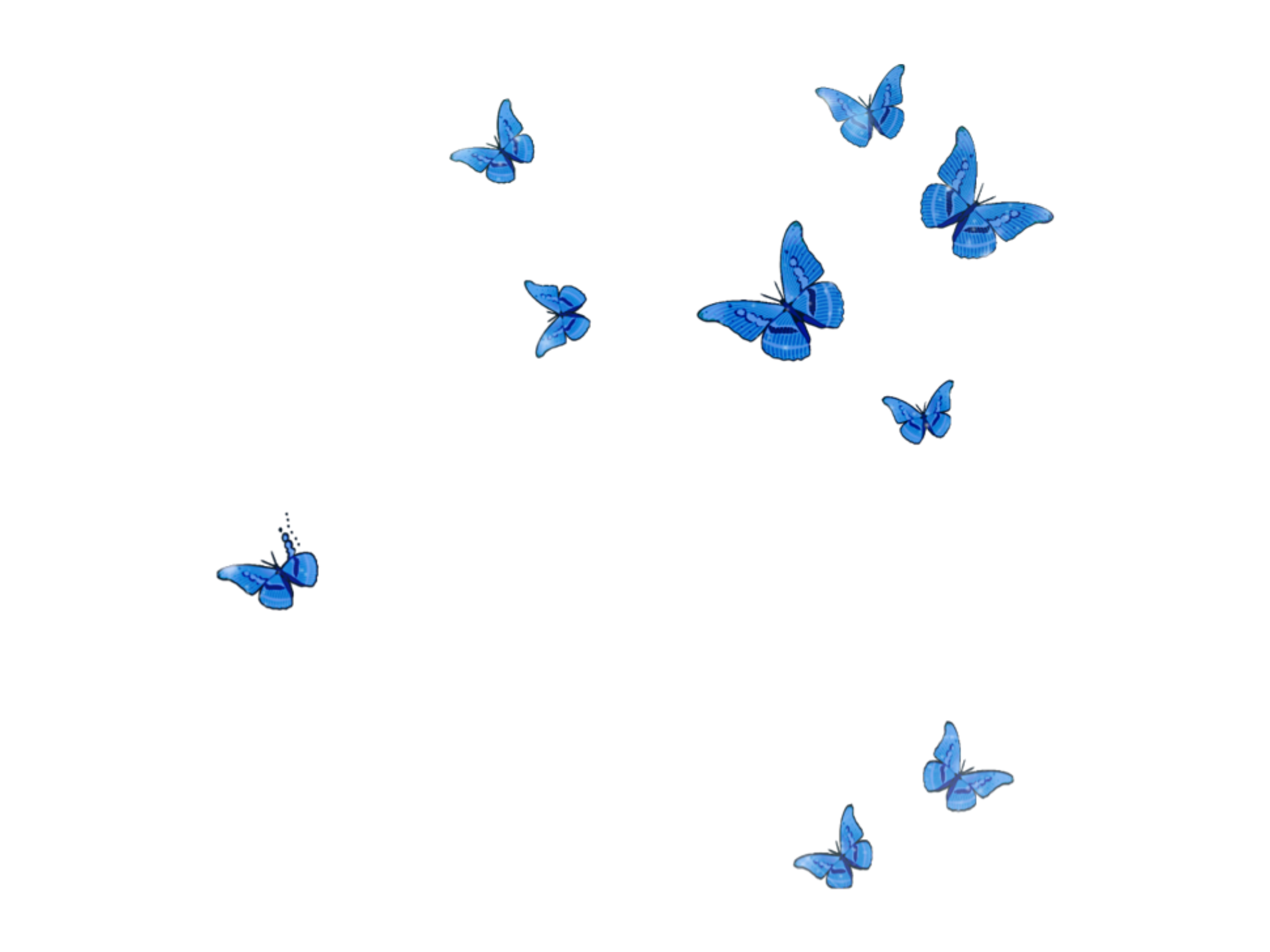 Butterfly Laptop Wallpapers