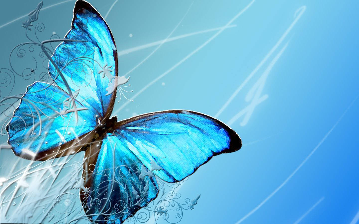 Butterfly Laptop Wallpapers