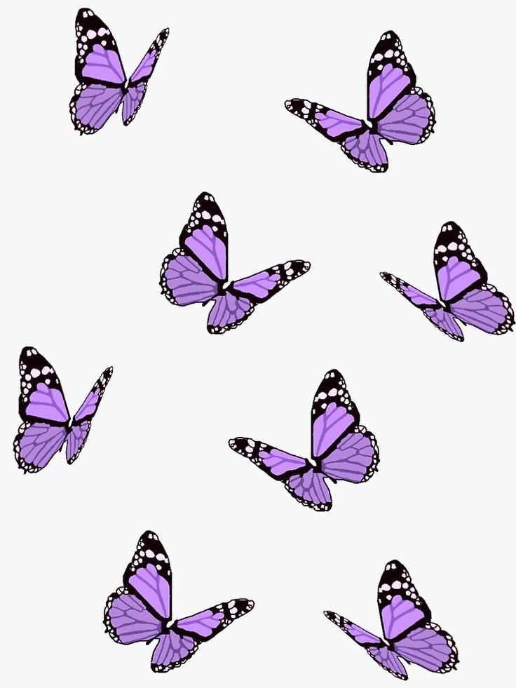 Butterfly Laptop Wallpapers