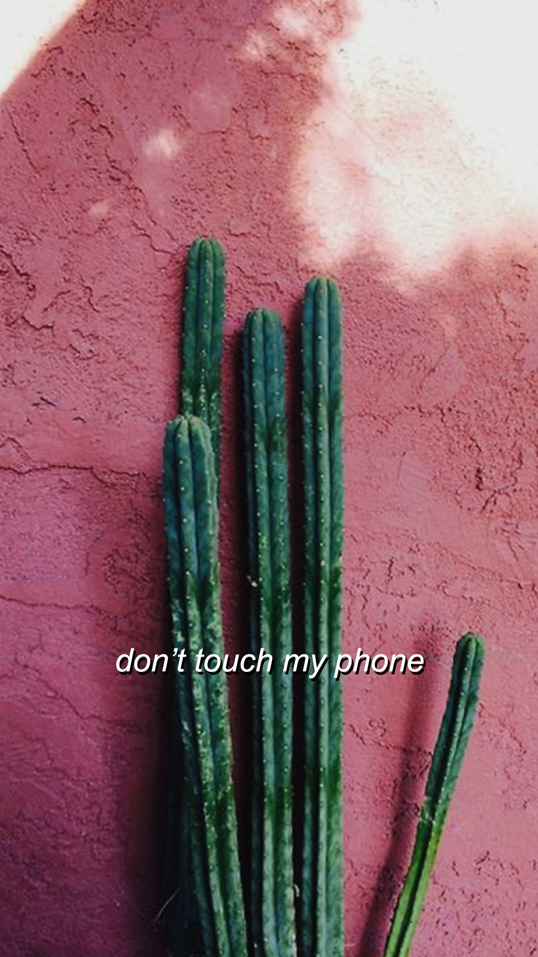 Cactus Tumblr Wallpapers