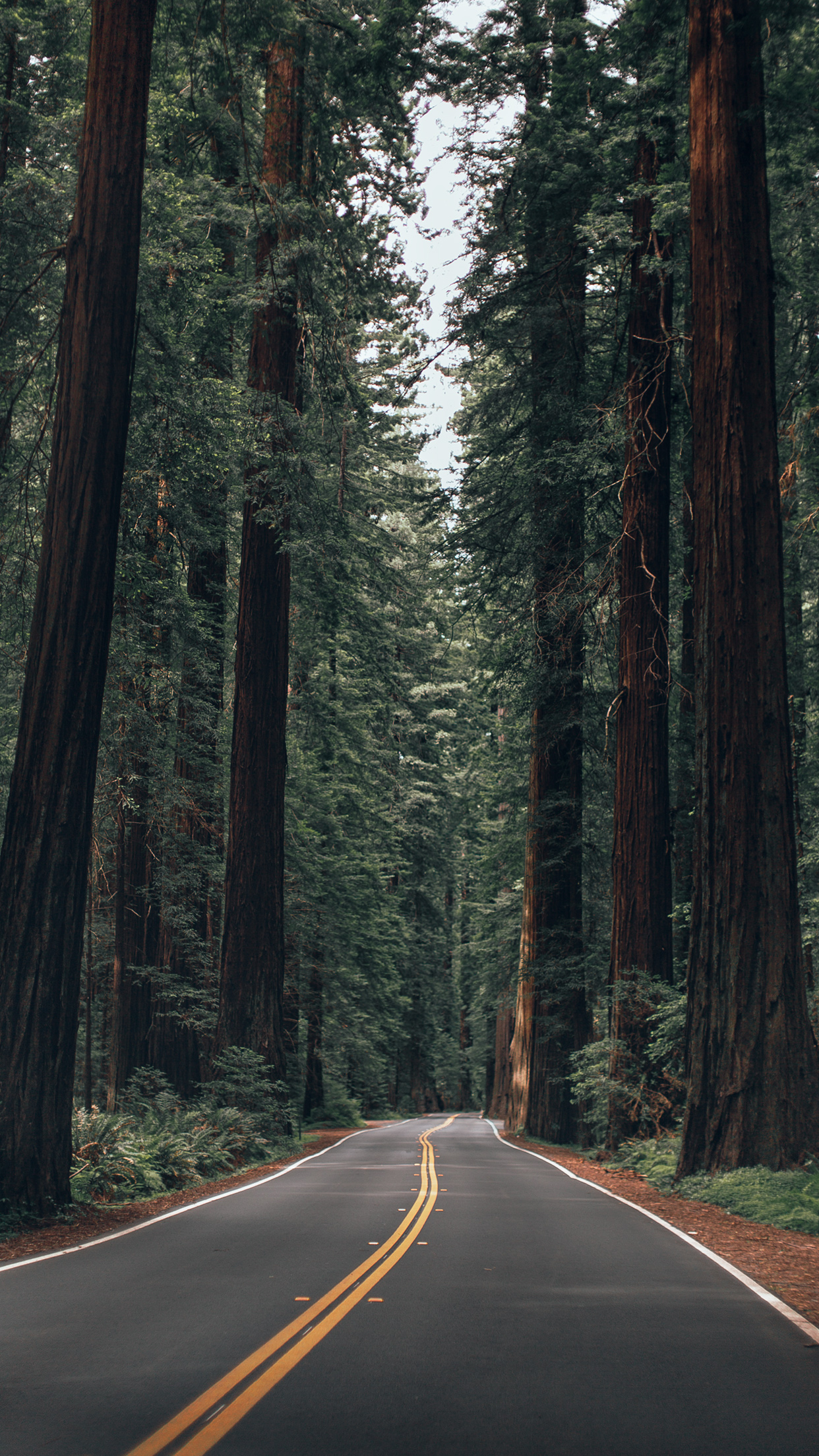 California Iphone Wallpapers