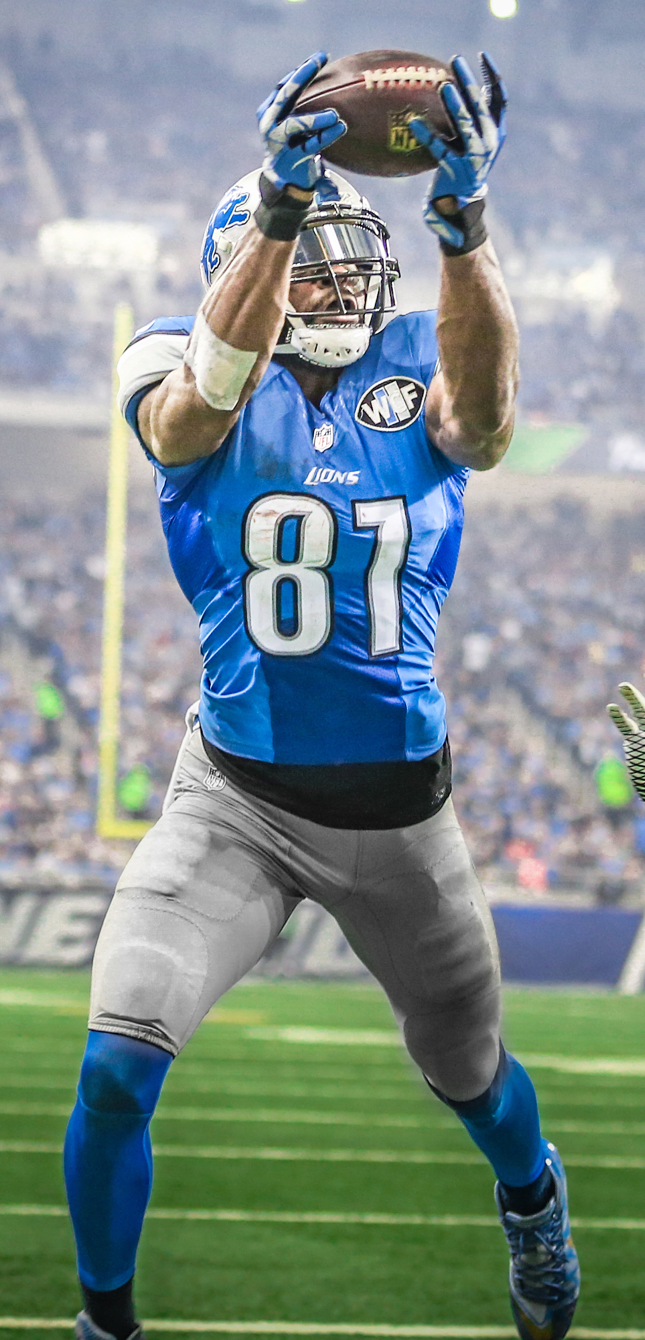 Calvin Johnson Wallpapers