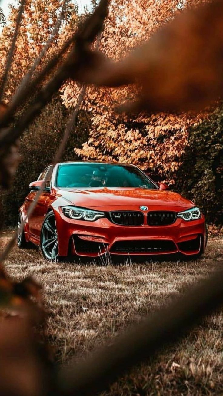 Car Bmw Wallpapers