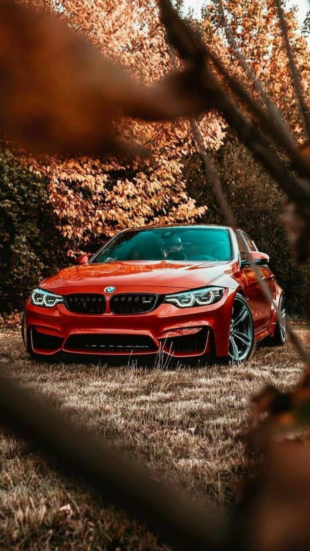 Car Bmw Wallpapers