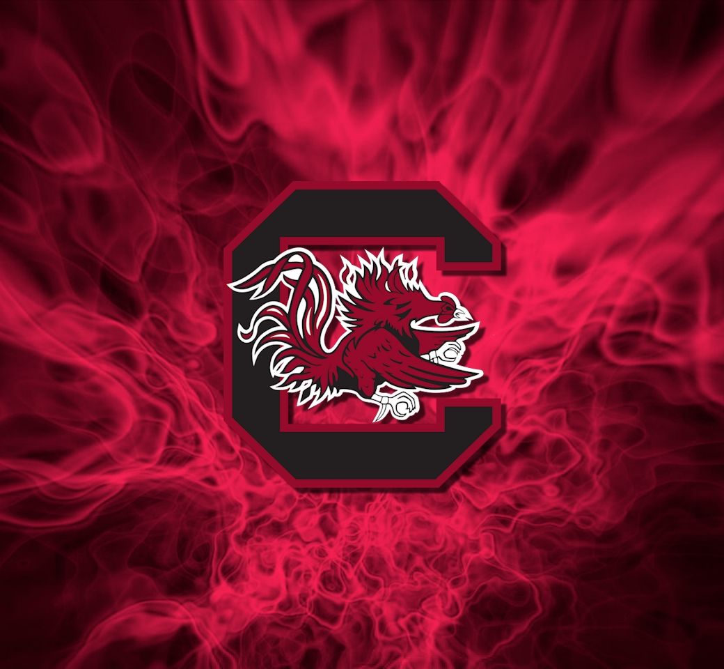 Carolina Gamecock Wallpapers