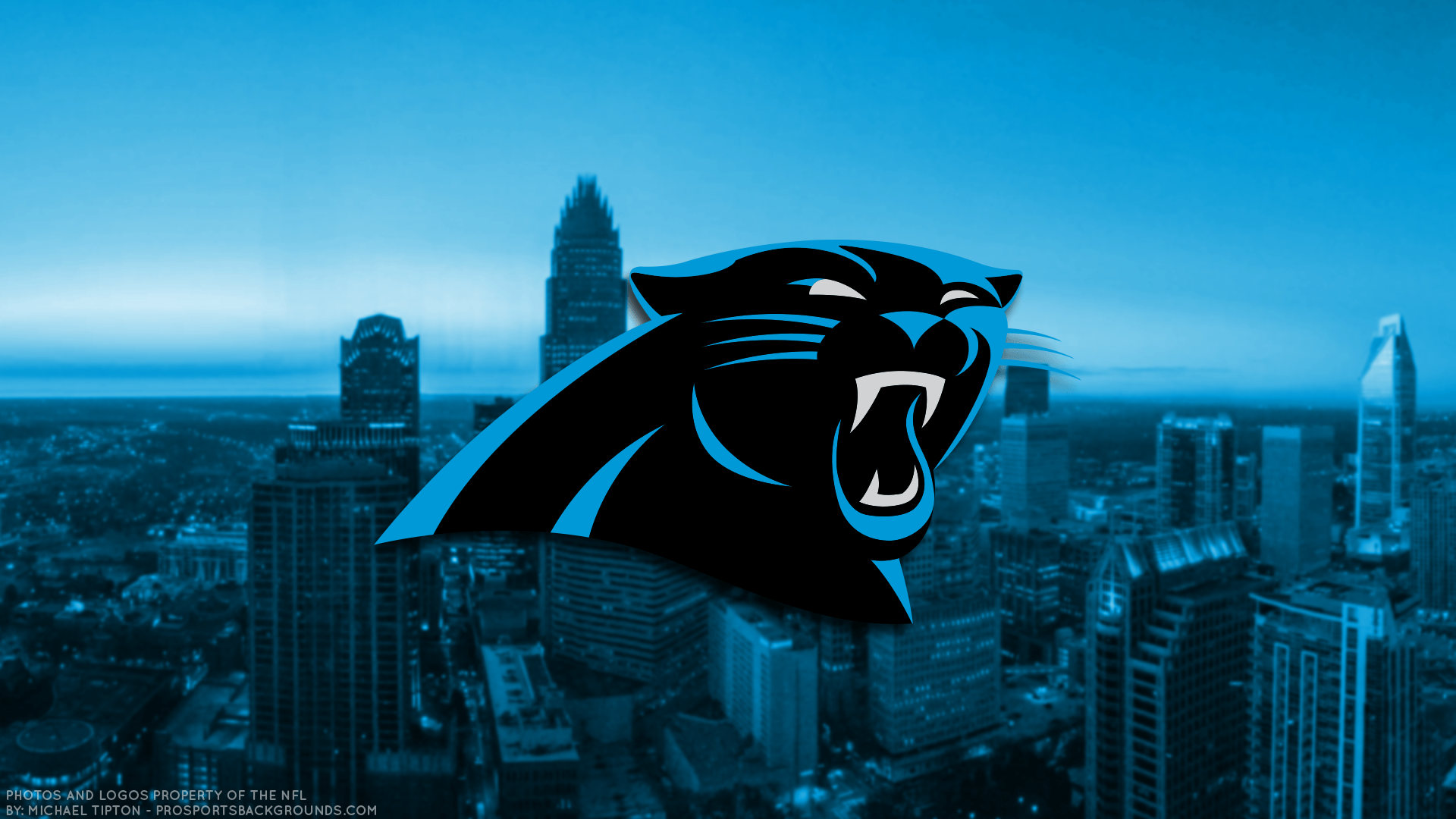 Carolina Panthers 2014 Wallpapers