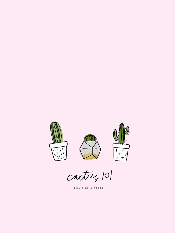 Cartoon Cactus Wallpapers