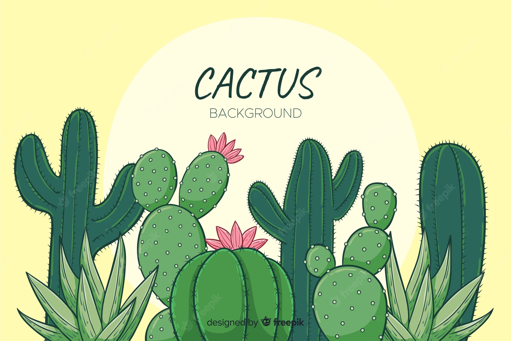 Cartoon Cactus Wallpapers