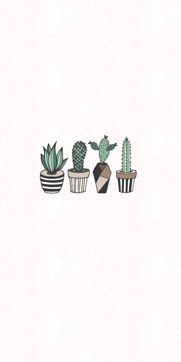 Cartoon Cactus Wallpapers