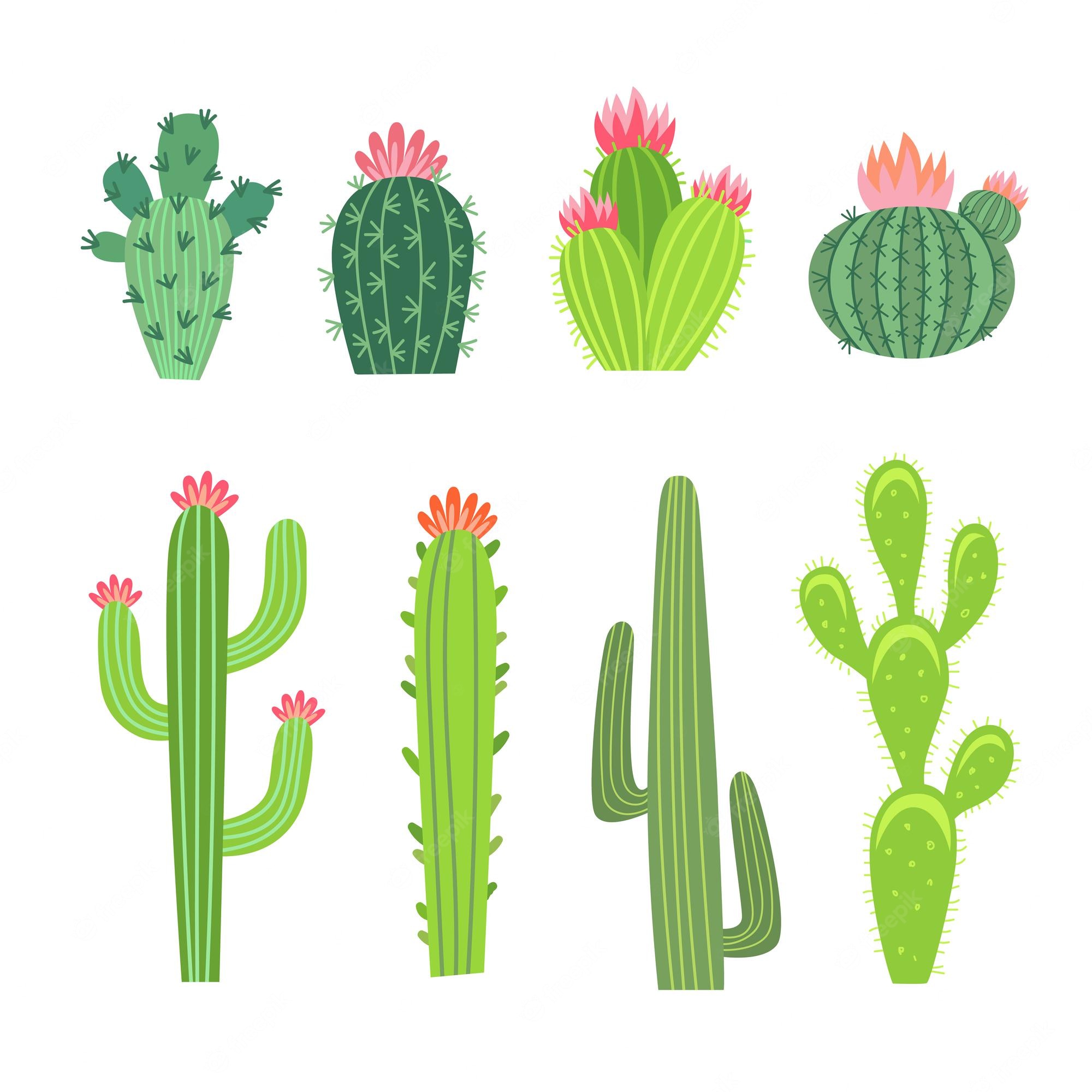 Cartoon Cactus Wallpapers