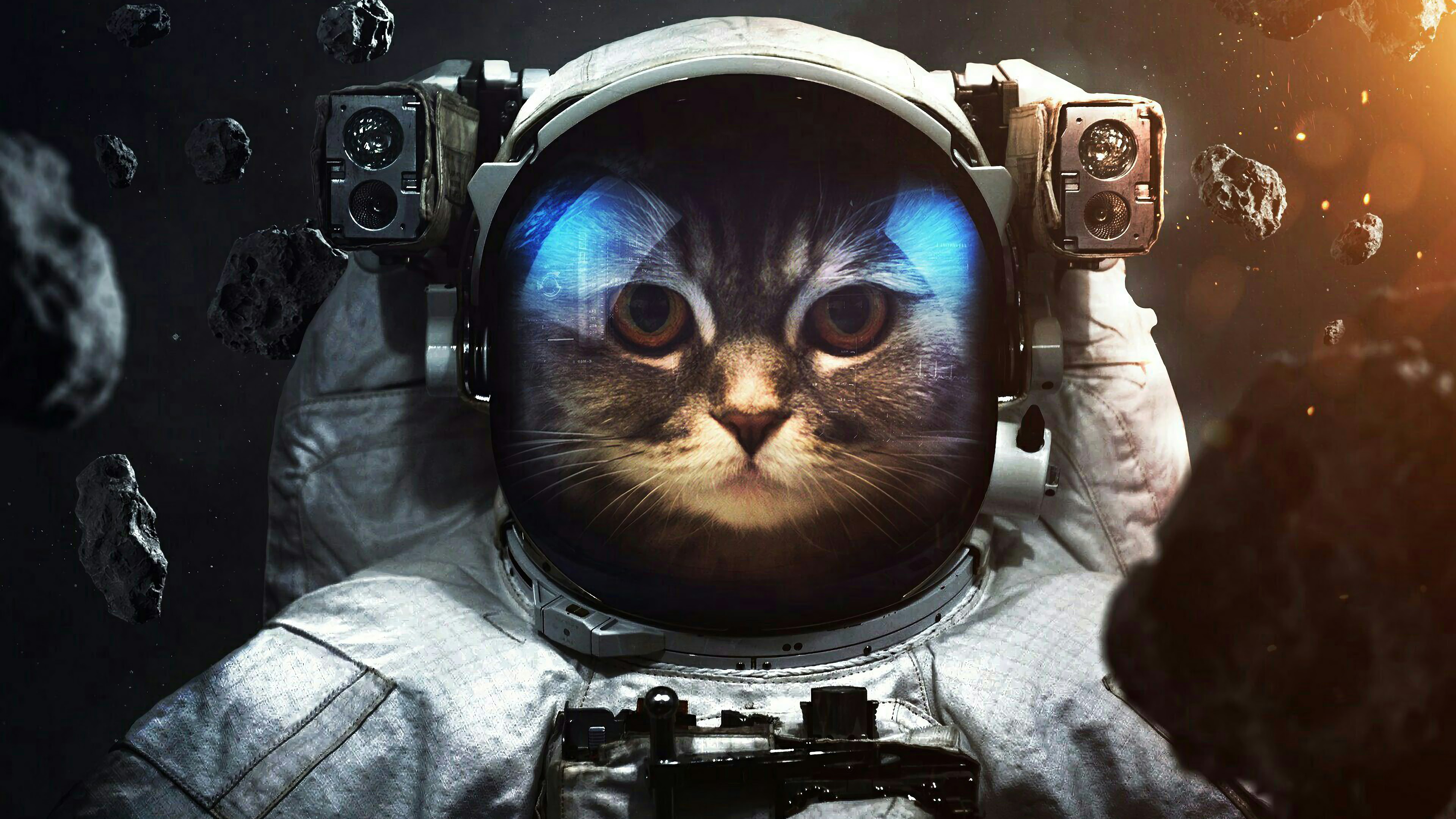 Cat Universe Wallpapers