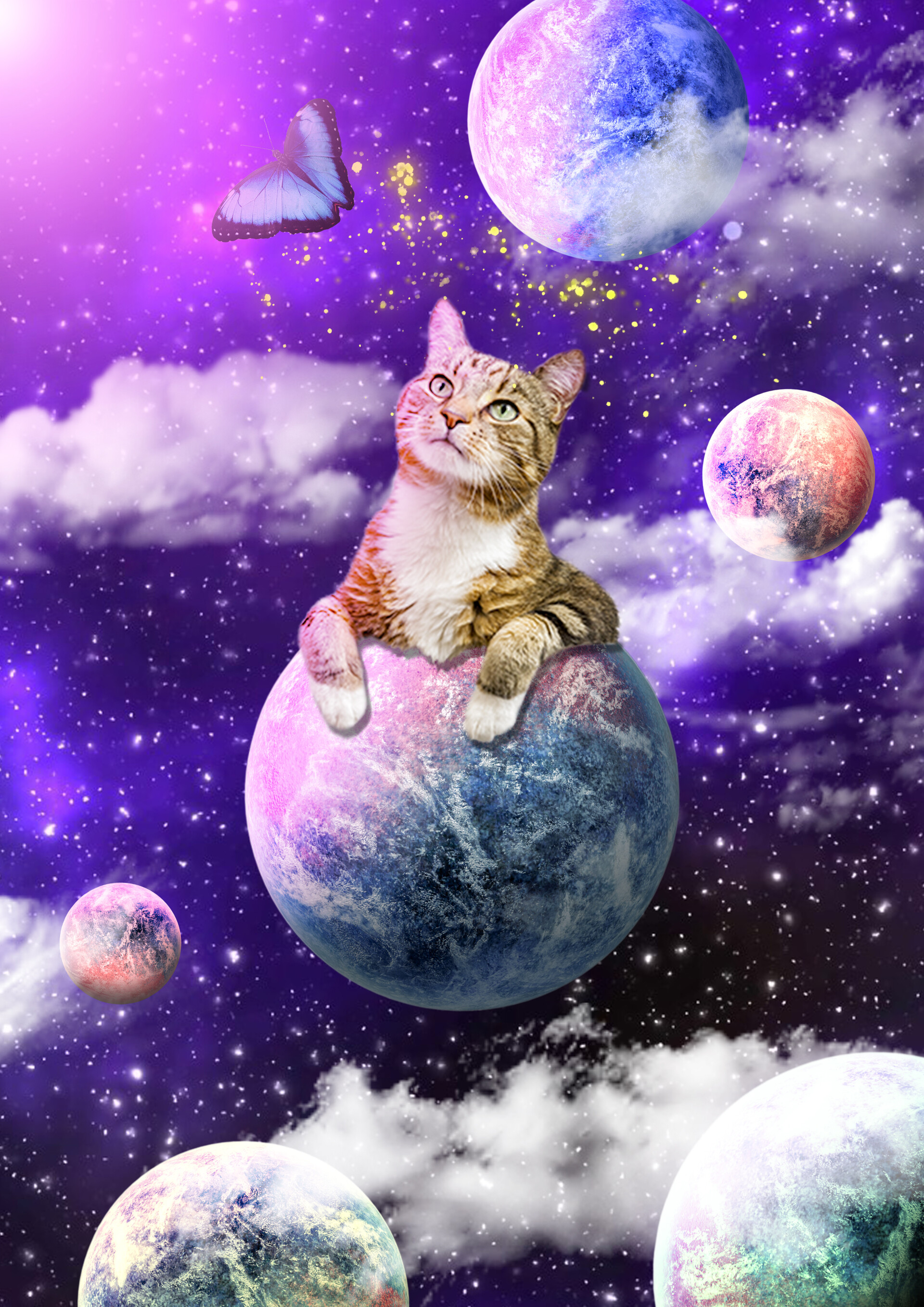 Cat Universe Wallpapers