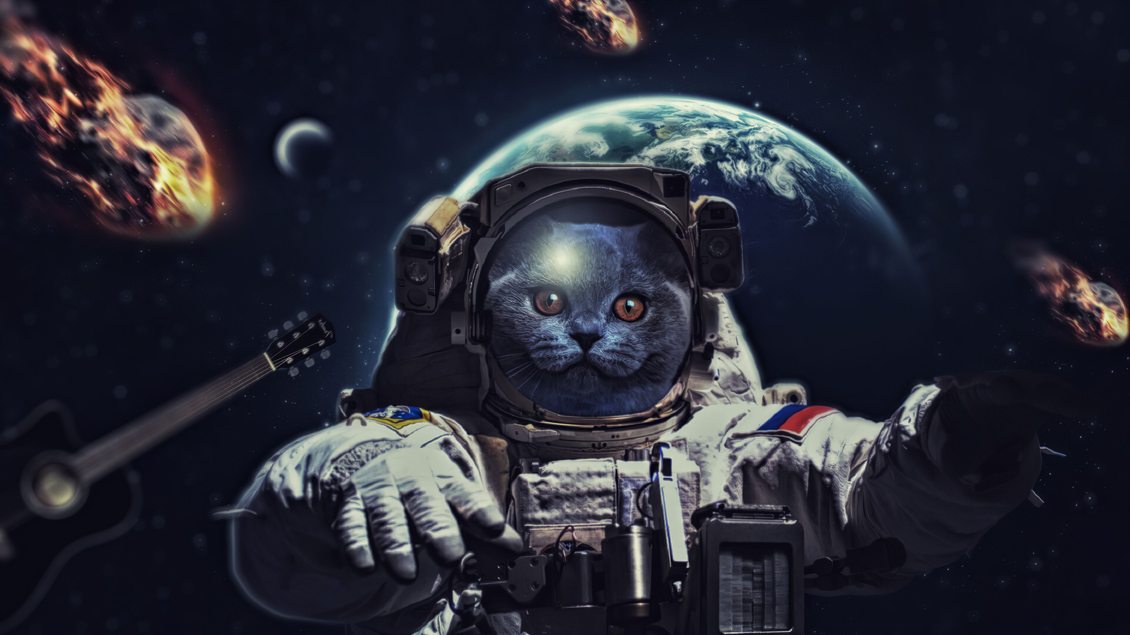 Cat Universe Wallpapers