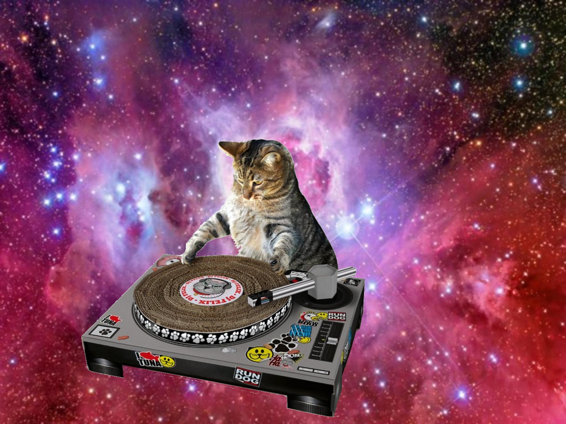 Cat Universe Wallpapers