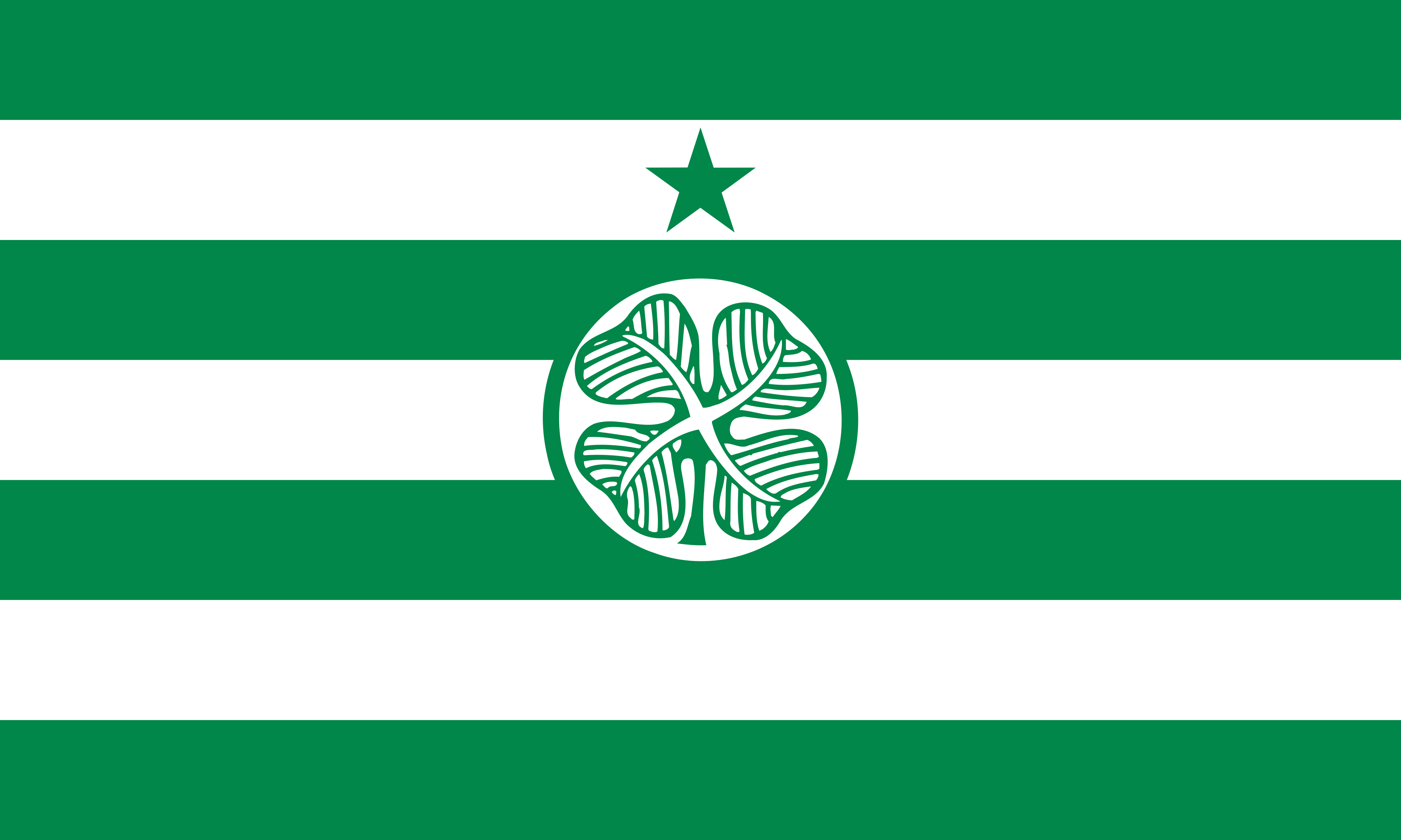 Celtic Fc Wallpapers