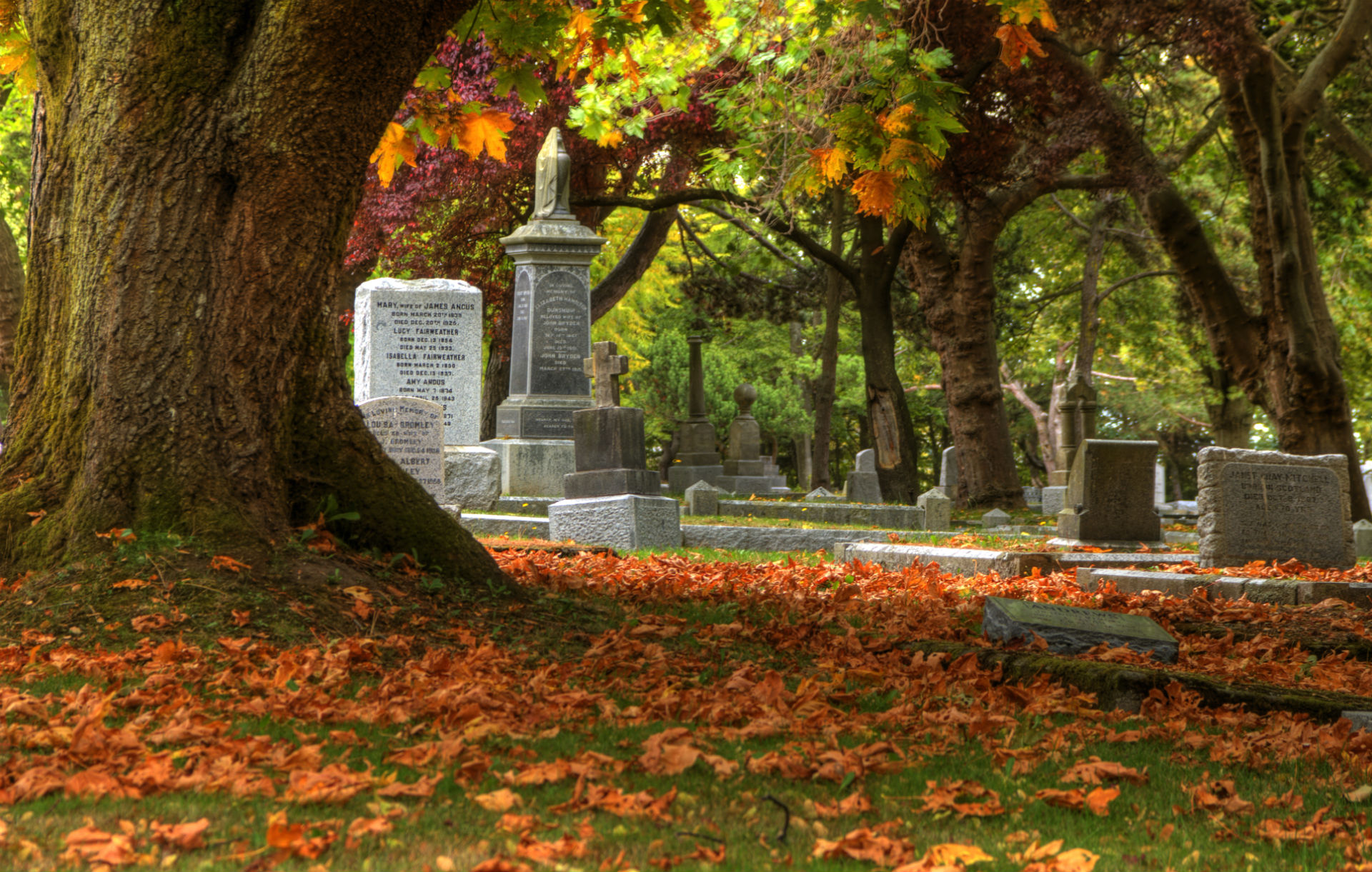 Cemetery Backdrop Wallpapers