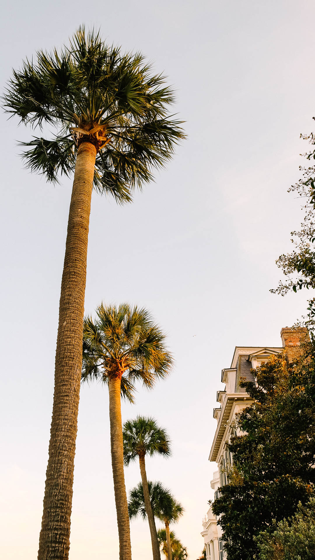 Charleston Sc Wallpapers