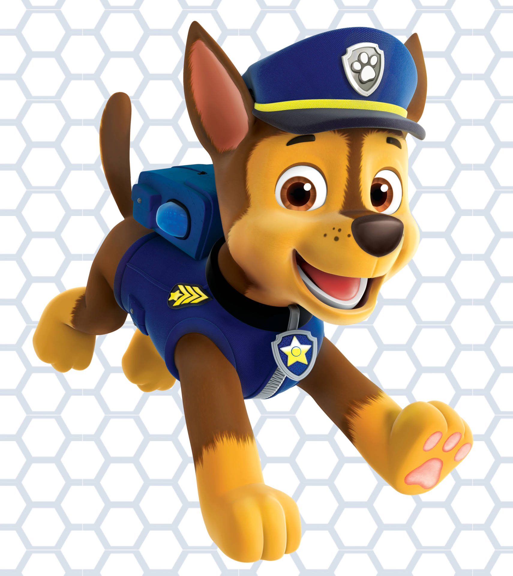 Chase Paw Patrol Wallpapers