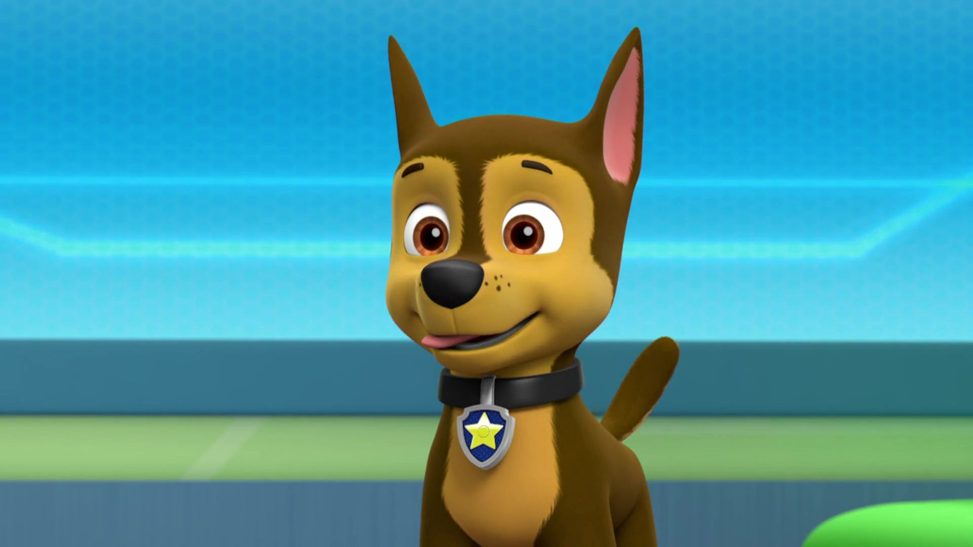 Chase Paw Patrol Wallpapers