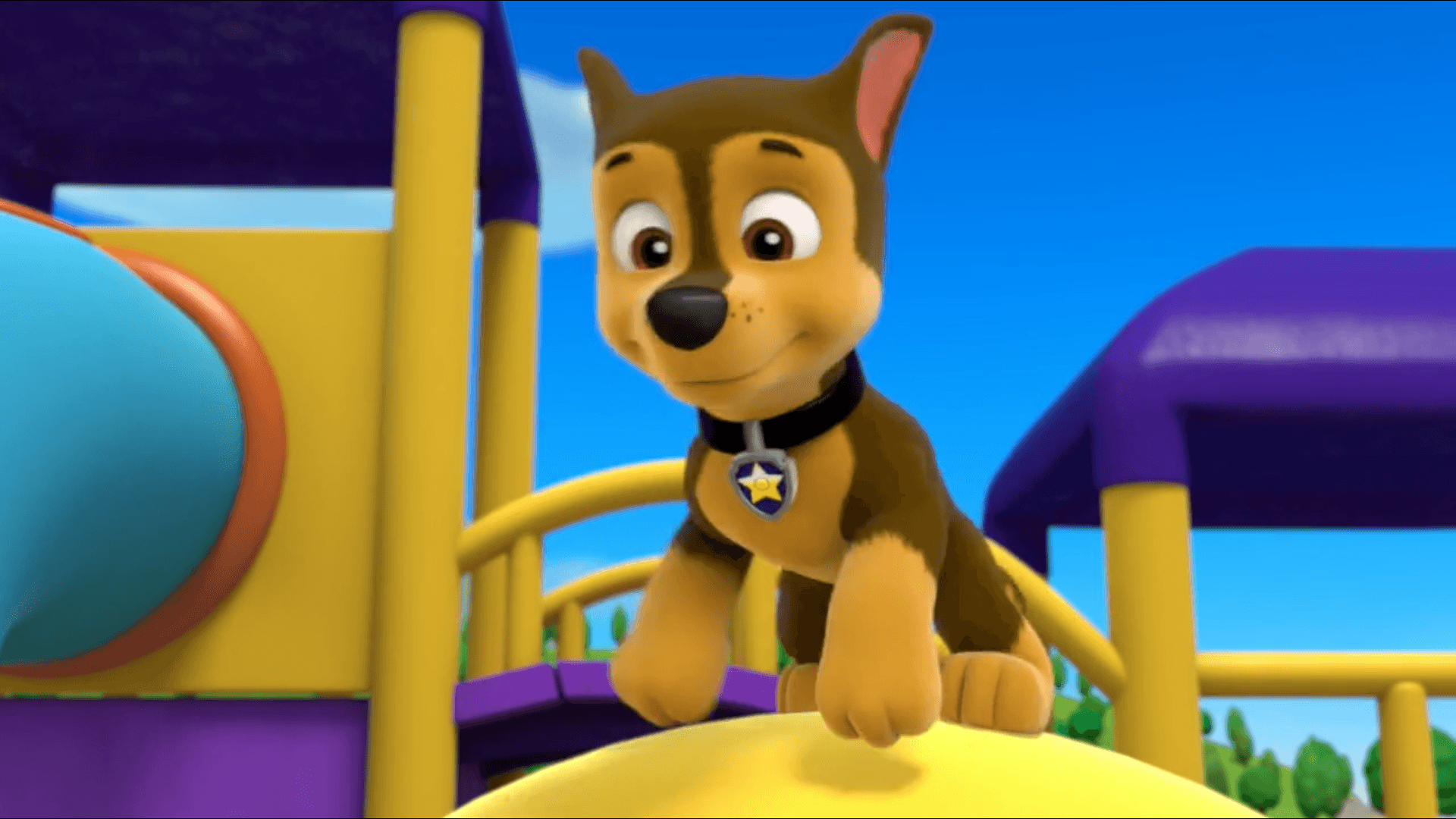 Chase Paw Patrol Wallpapers