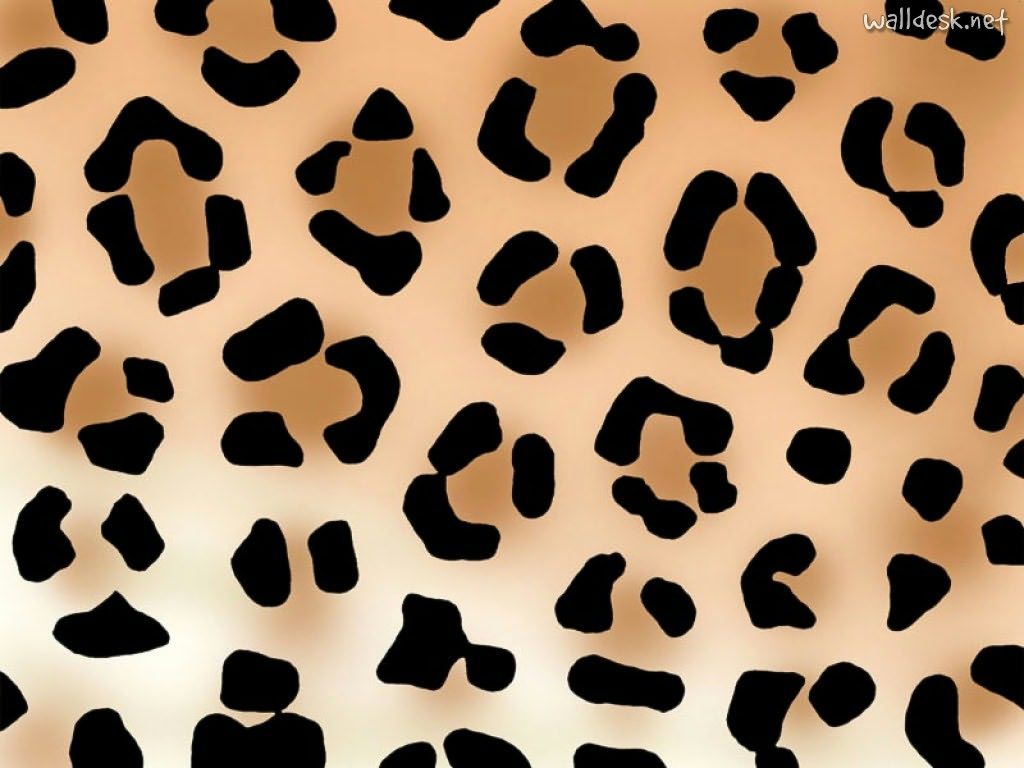 Cheetah Pattern Wallpapers