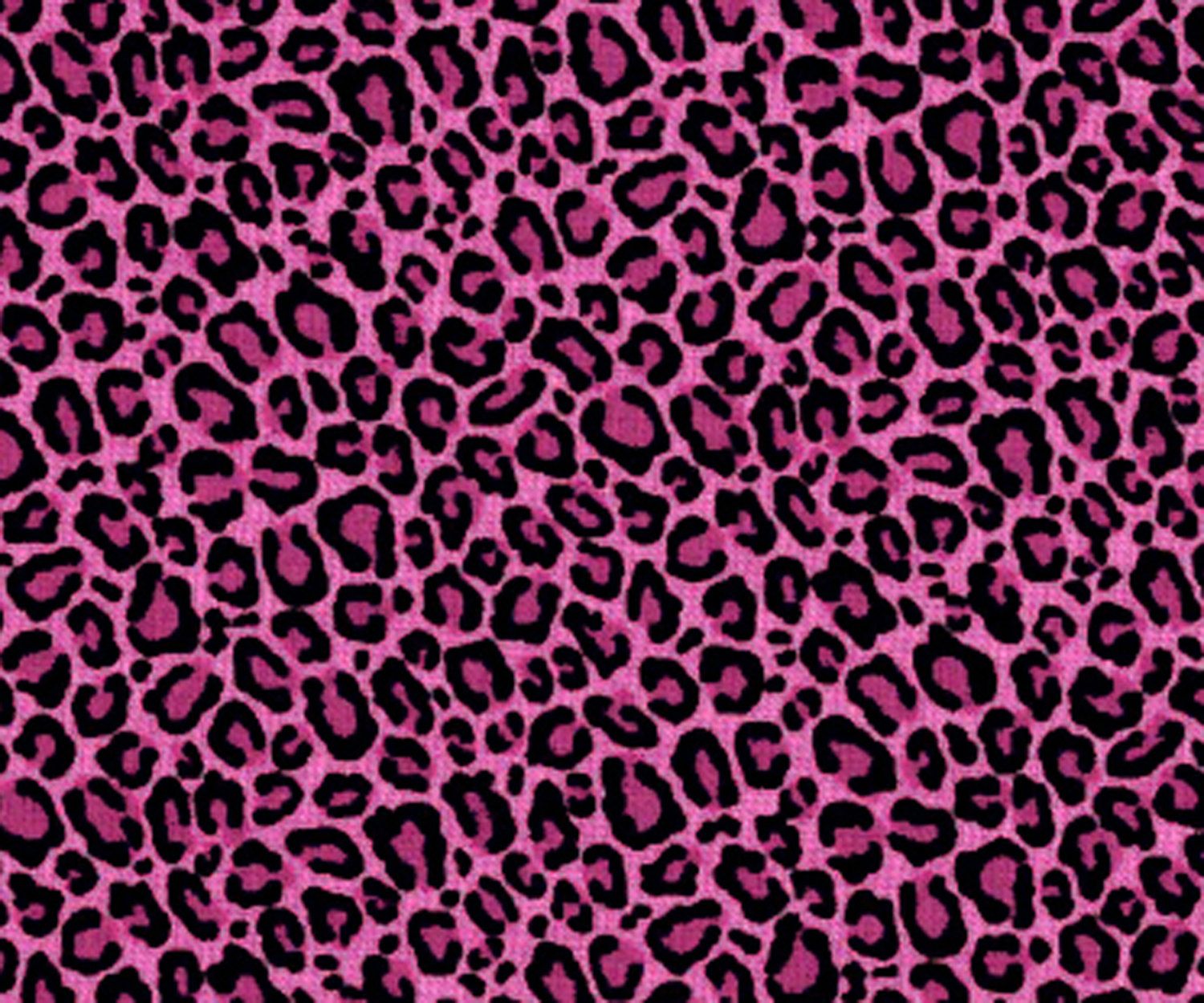 Cheetah Print Wallpapers