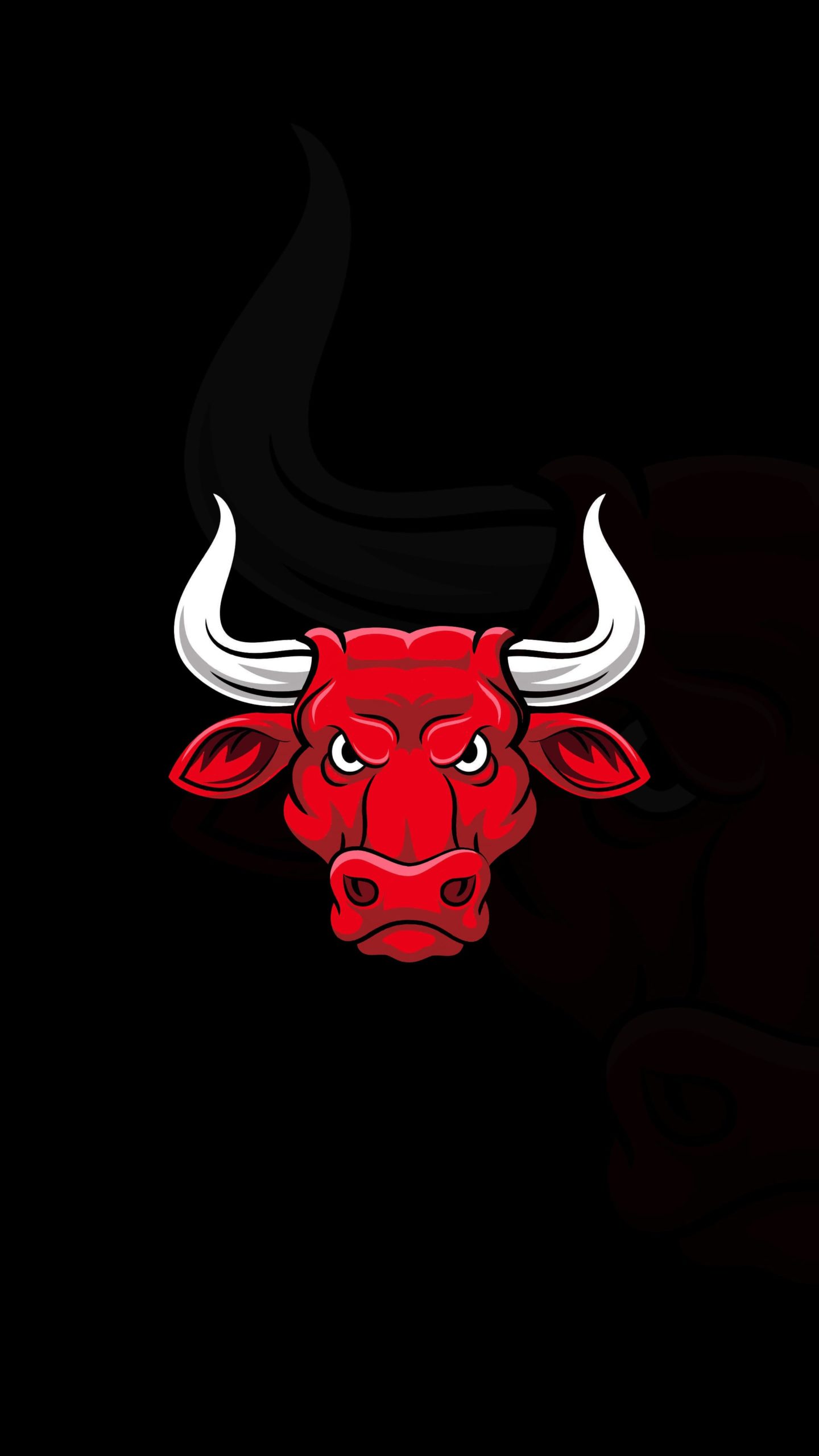 Chicago Bulls Iphone Wallpapers