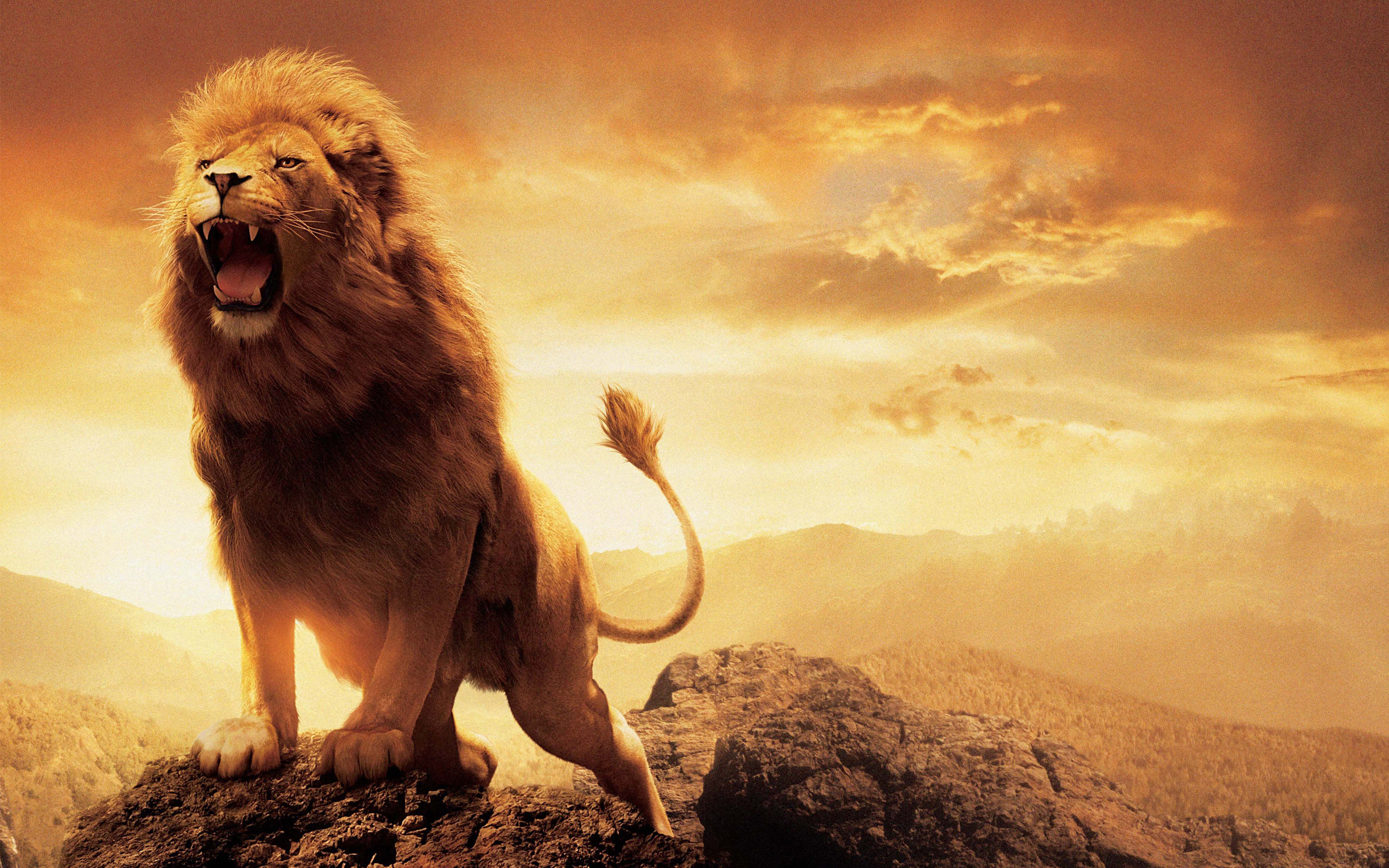 Chronicles Of Narnia Images Wallpapers