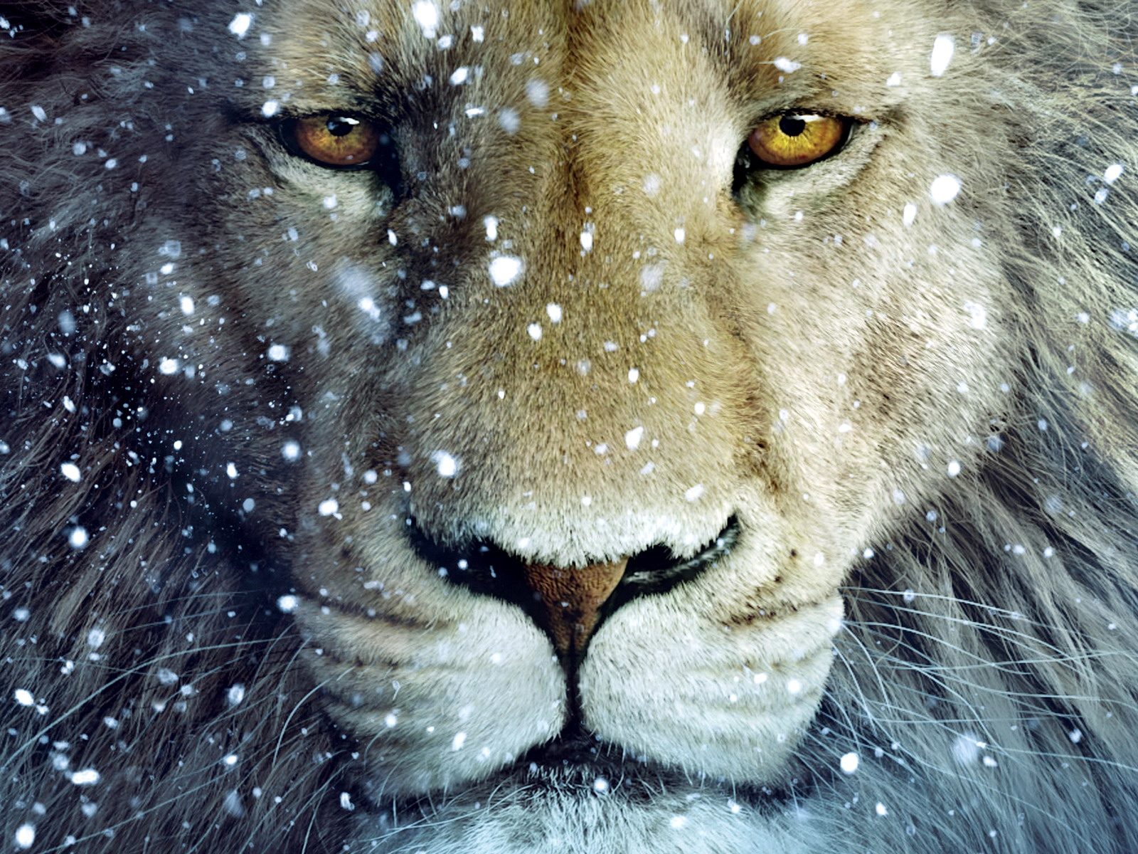 Chronicles Of Narnia Images Wallpapers