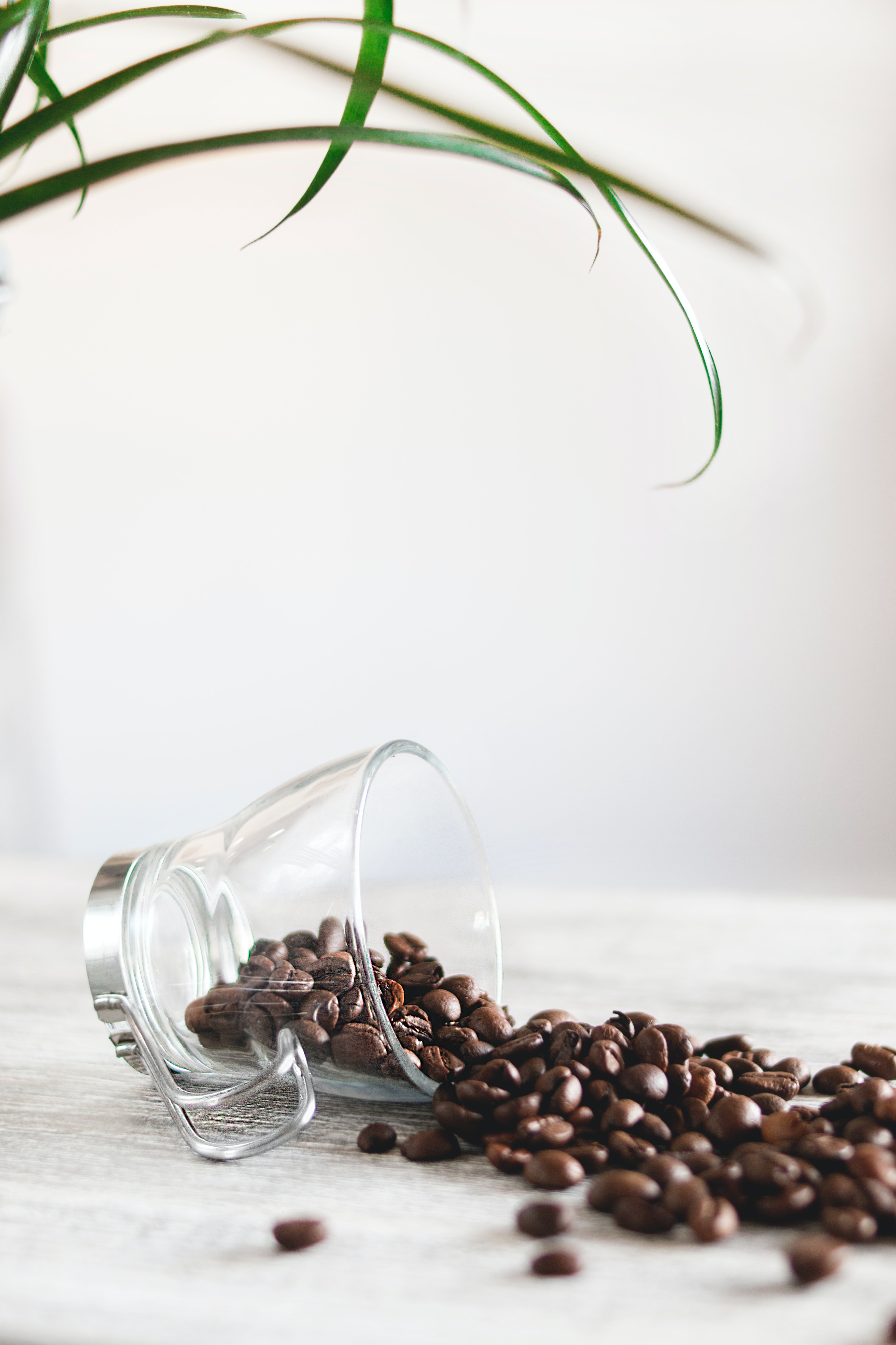 Coffee Pics Free Wallpapers