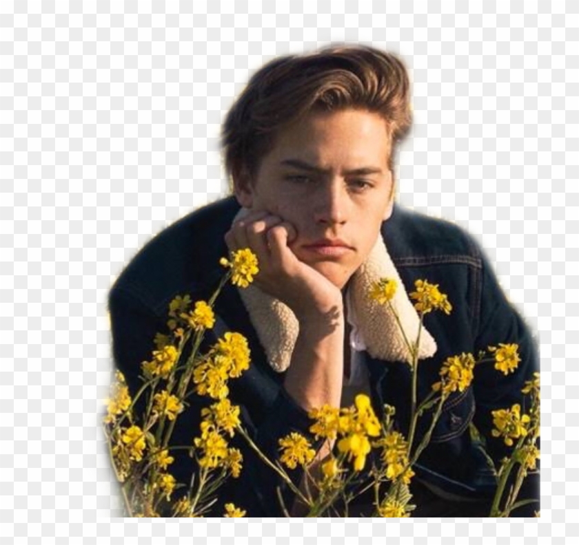 Cole Sprouse Wallpapers