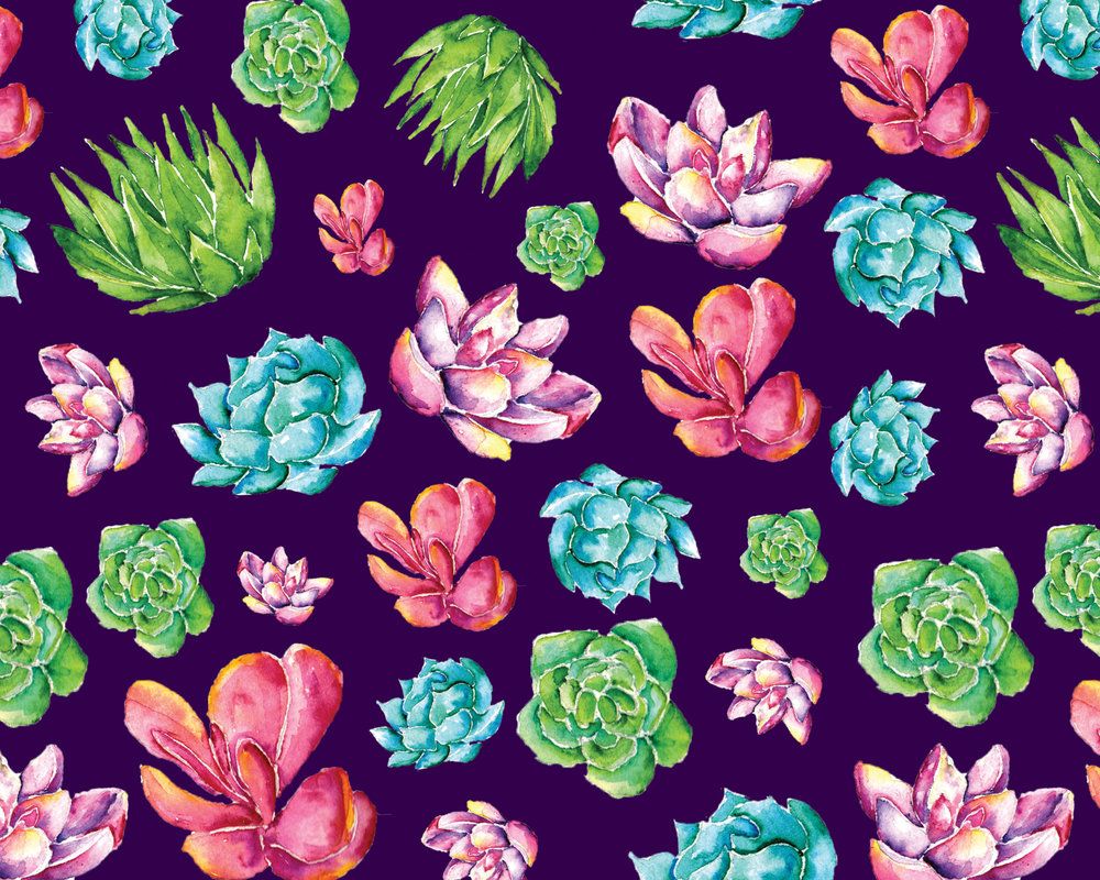 Colorful Succulent Wallpapers