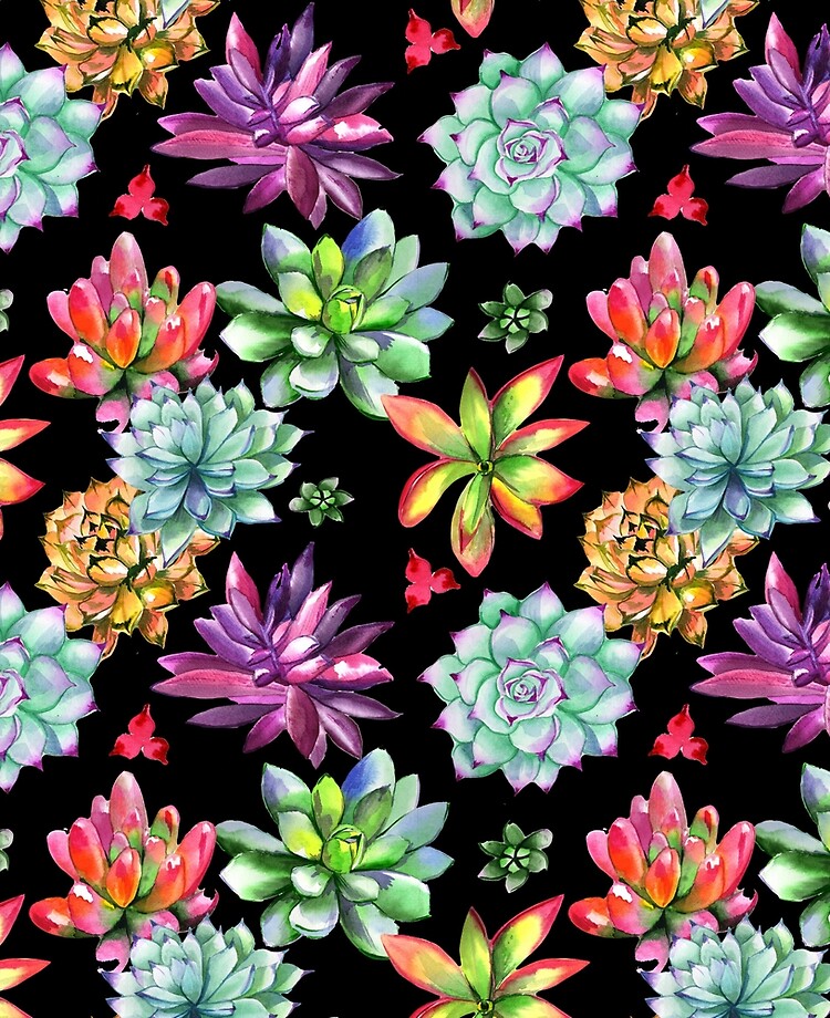 Colorful Succulent Wallpapers