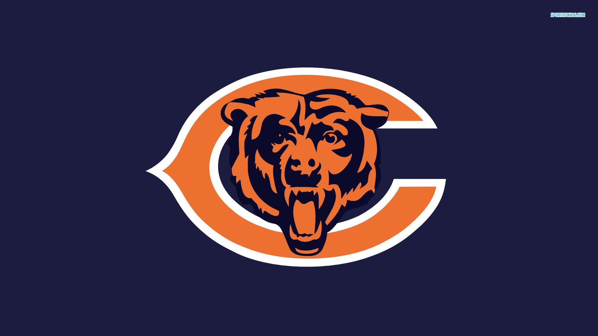 Cool Bears Logo Wallpapers