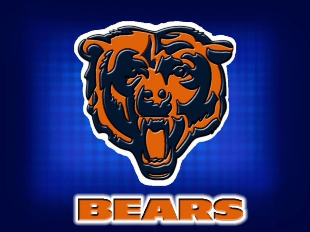 Cool Bears Logo Wallpapers